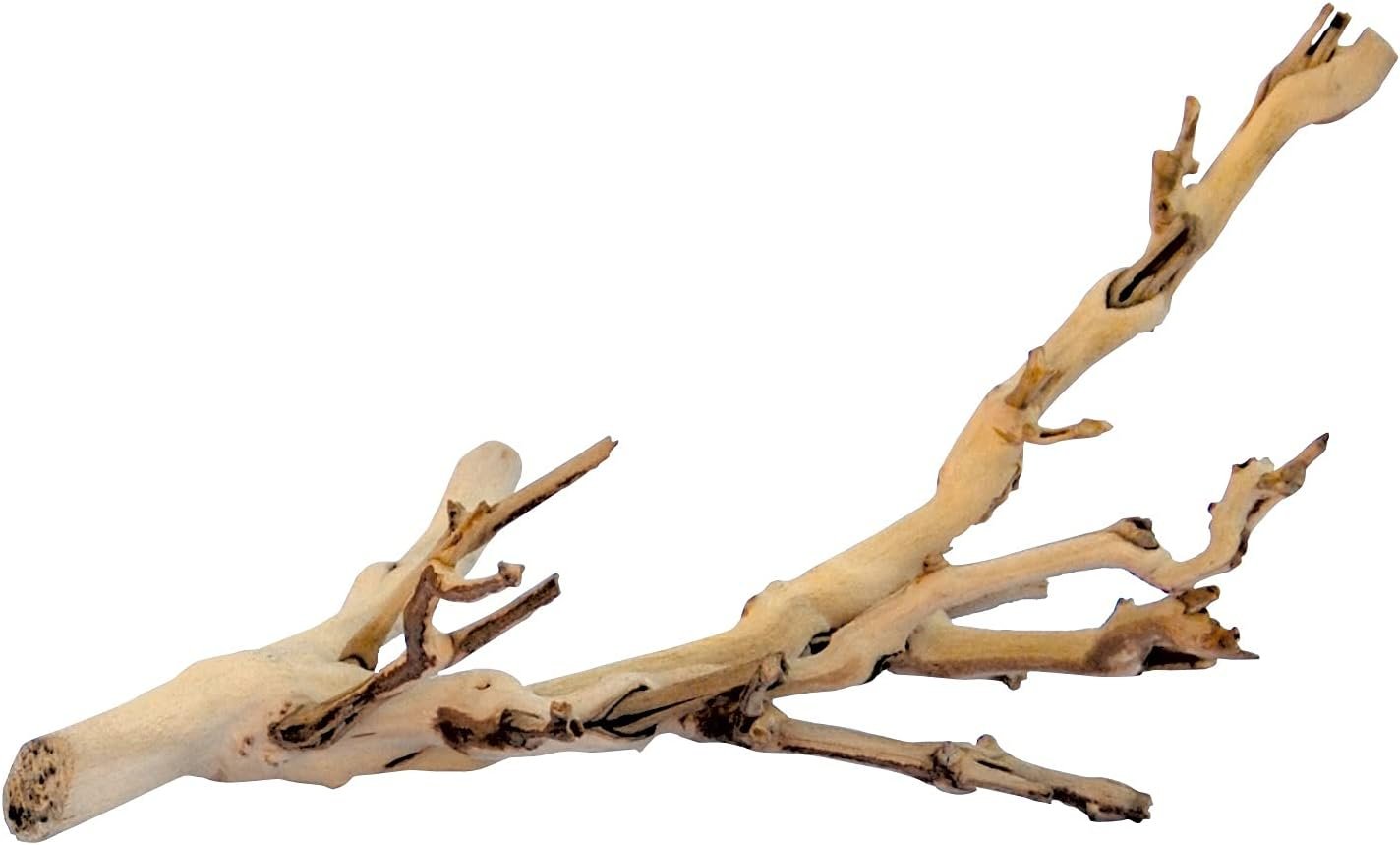 Exo Terra Forest Branch Small – Natural Wood Terrarium Decoration