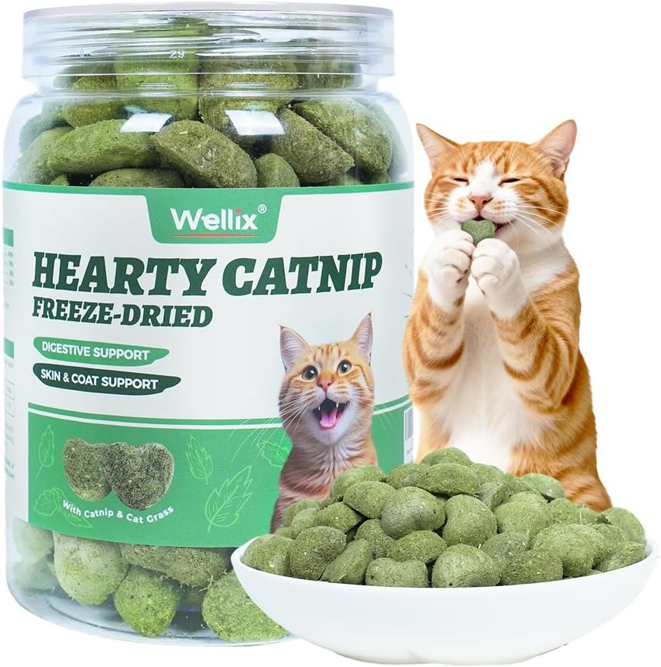 Wellix Freeze-Dried Catnip Treats with Chicken, Cat Grass & Catnip, 3 oz
