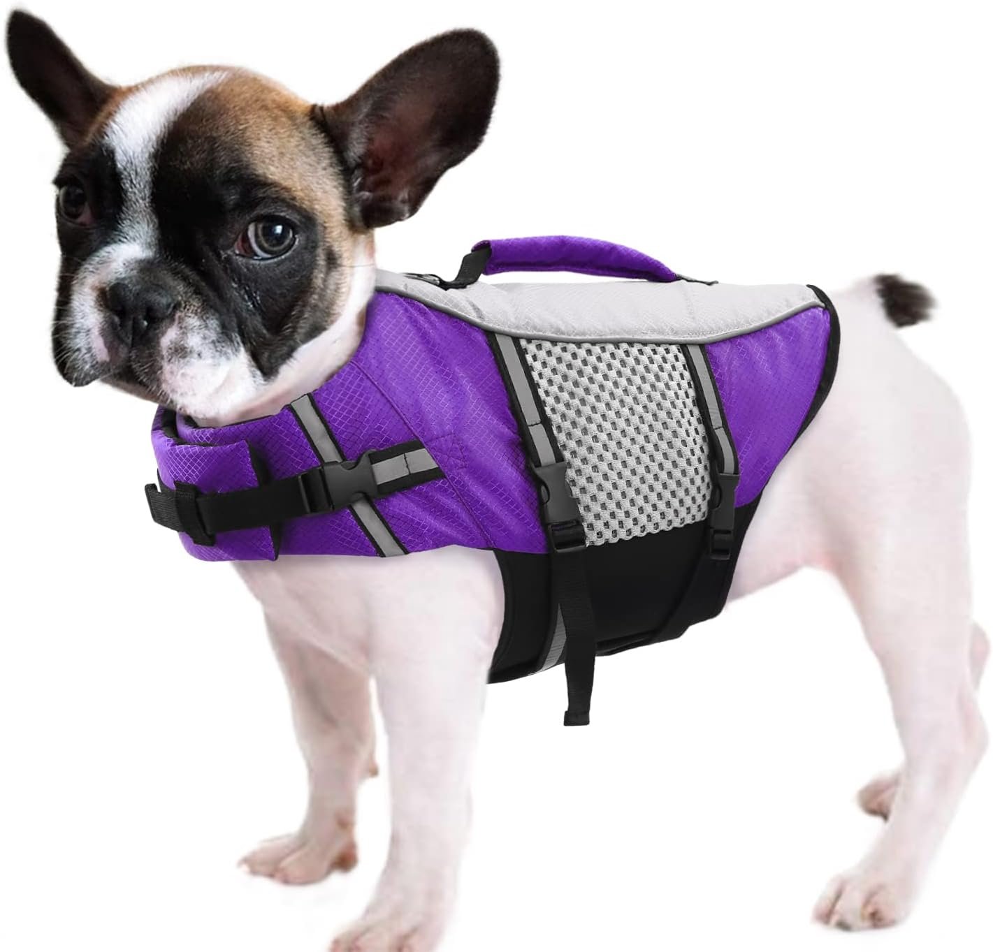 Queenmore Lightweight Dog Life Jacket Puppy Swimming Vest with Lift Handle