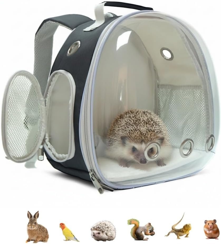 Small Animal Carrier Guinea Pig Backpack,Transparent, Breathable Backpack Carrier for Hedgehogs, Rabbits, Birds, Squirrels, Hamsters, Lizards Comfortable, Portable Travel Bag for Small Pets (Black)