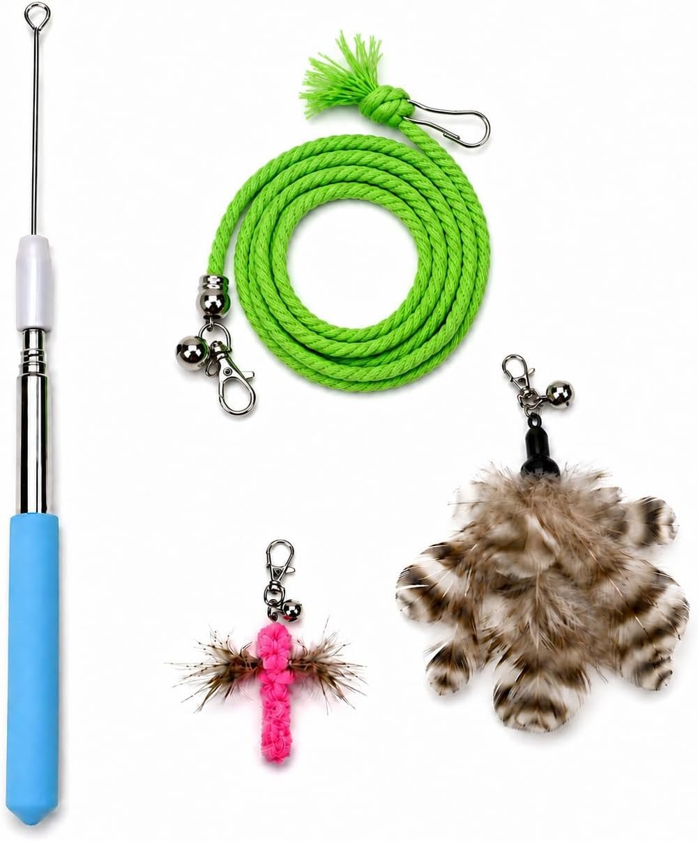 Cat Wand Toy Set, Retractable Stainless Steel Wand with 3 Interchangeable Attachments, Feather, Insect, Cotton Rope