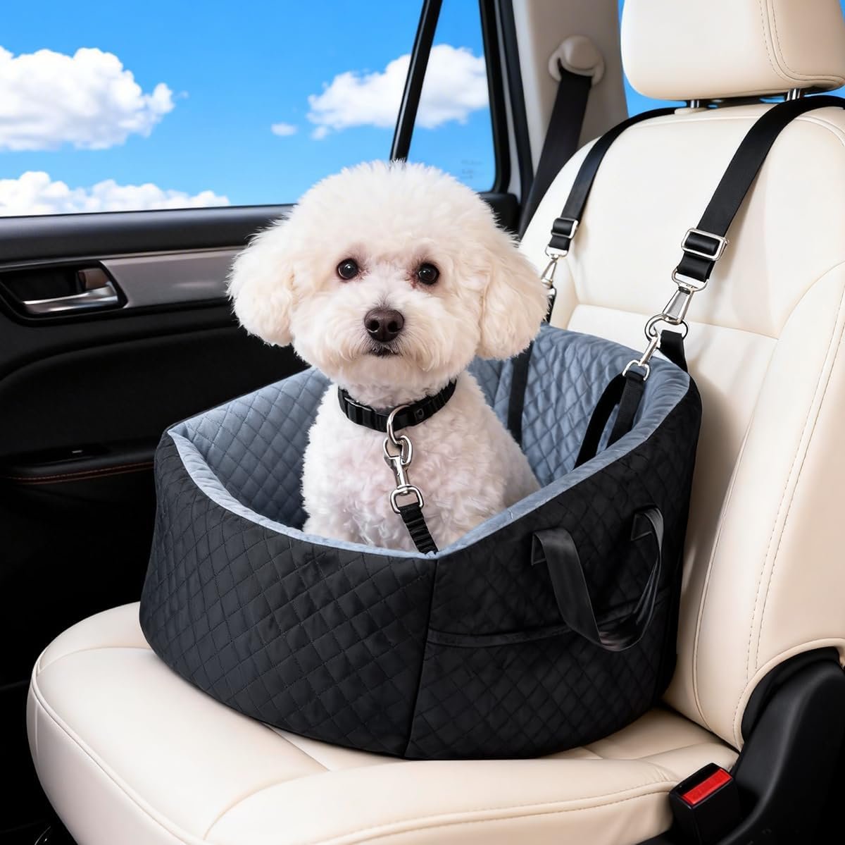 Dog Car Seat for Small Dogs Up to 30 lbs, Elevated Booster Seat