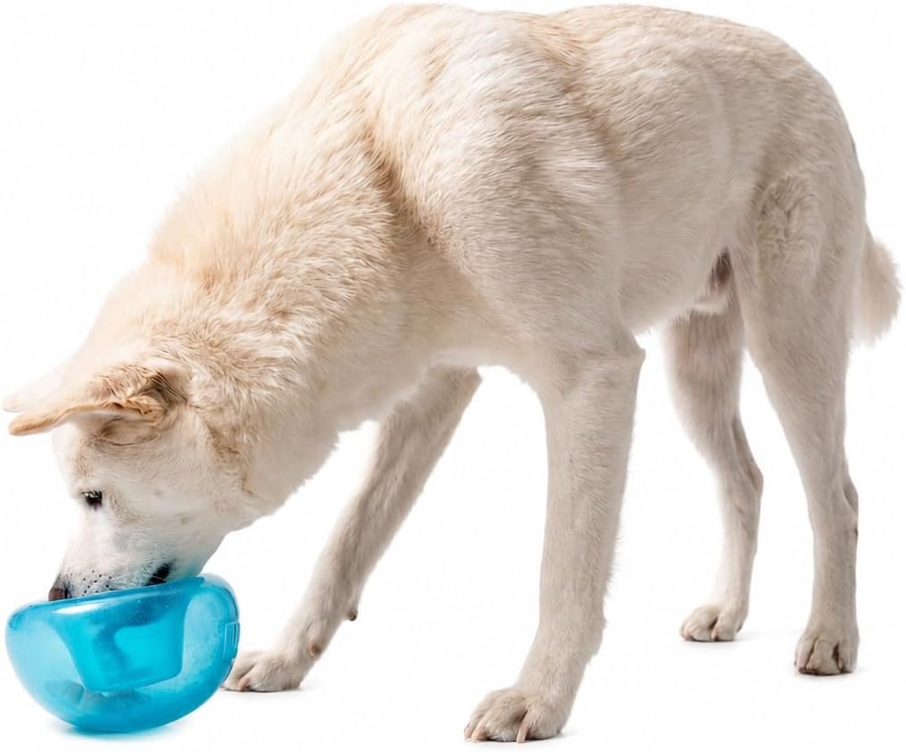 Outward Hound Snoop Interactive Treat Dispensing Dog Toy, Blue, 5″