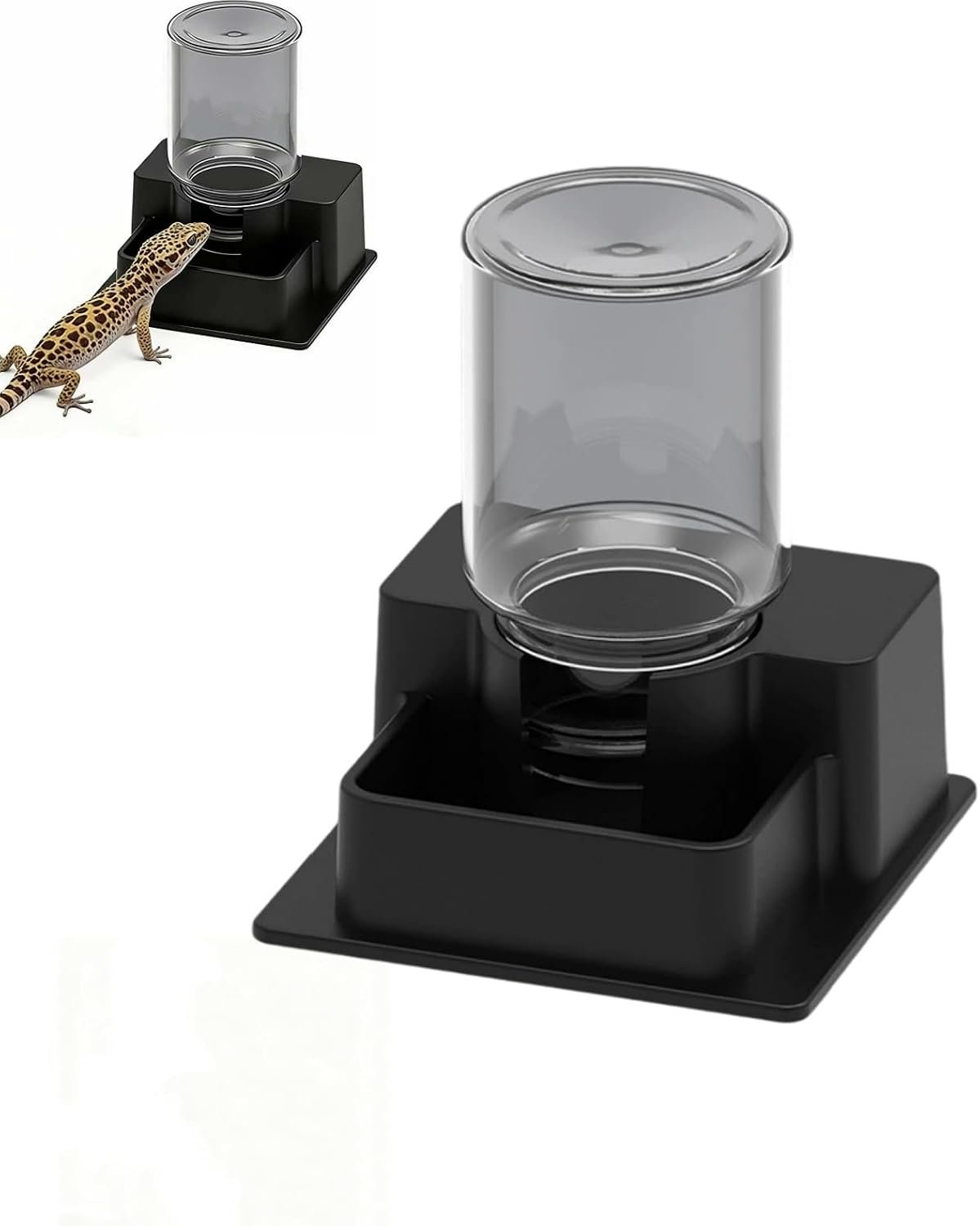 Automatic Pet Feeder Adjustable Portion Control Convenient Turtle Water Dispenser Reptile Water Dish Small Amphibian Bowl for Gecko Lizard Terrarium Habitat