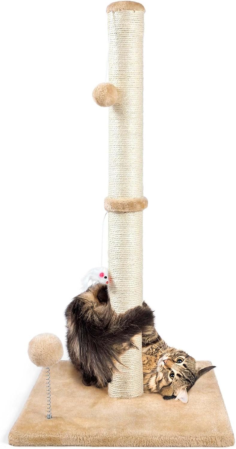 ANWA 32″ Tall Sisal Cat Scratching Posts Tree for Indoor Cats Adults, Beige