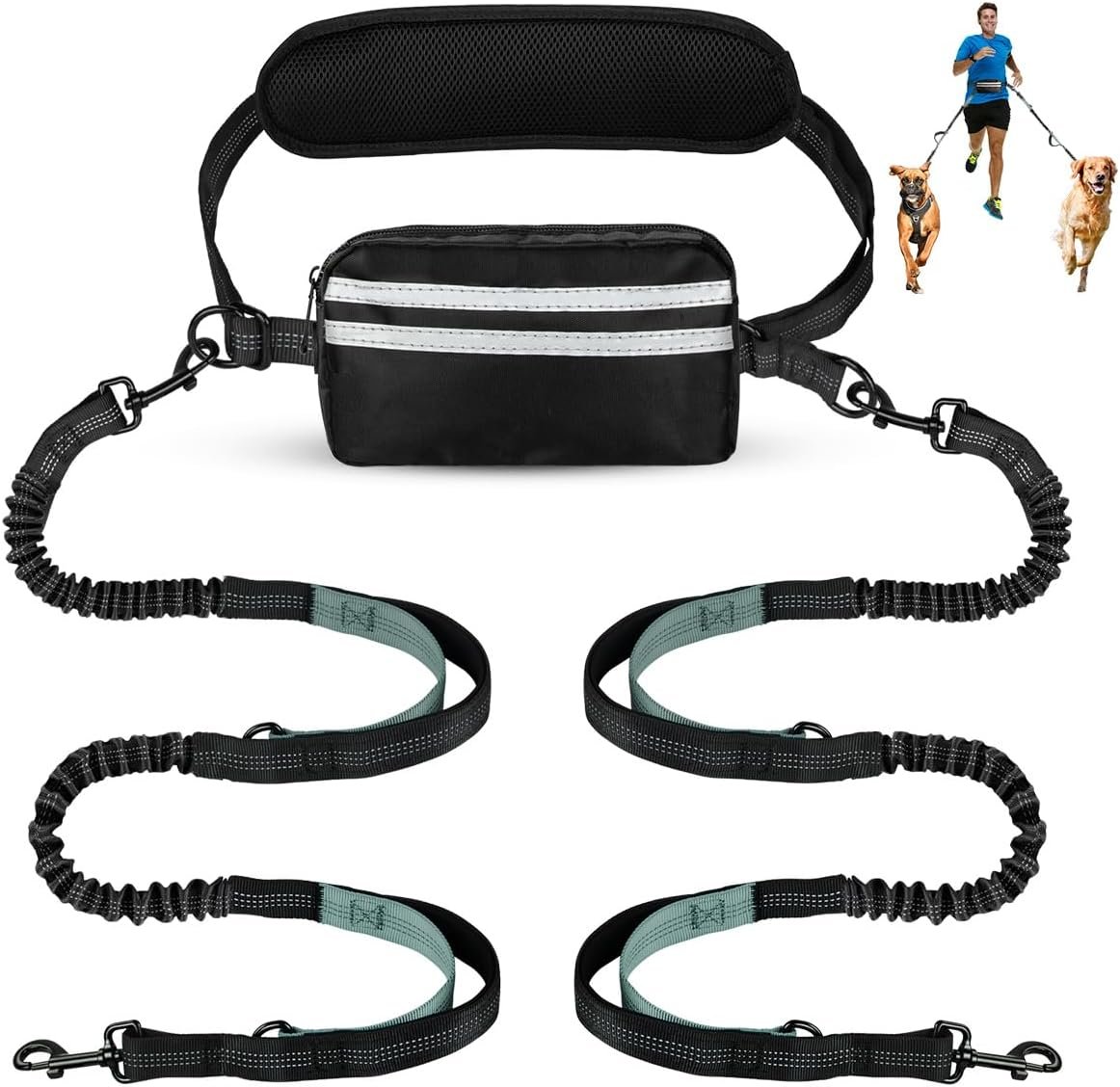 Hands Free Dog Leash for Two Dogs Walking, Running