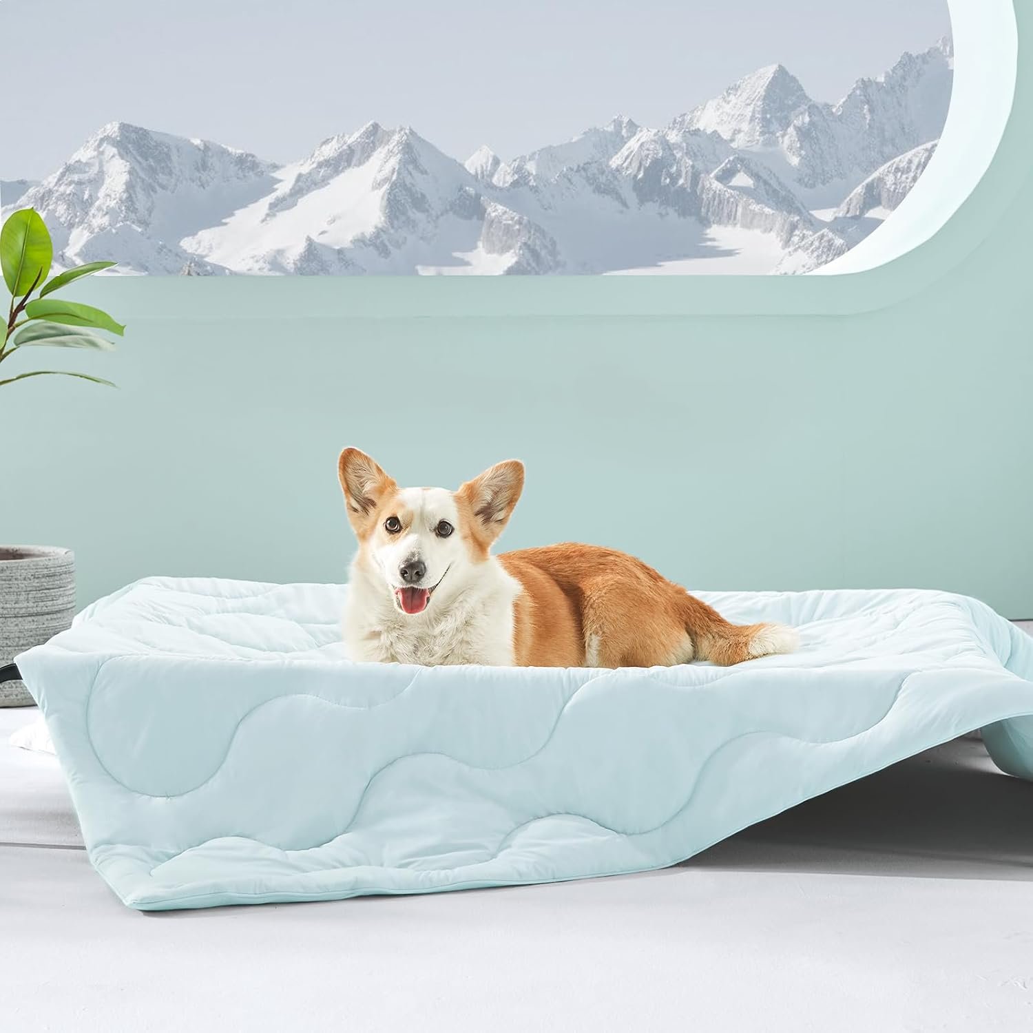 MIXJOY Cooling Blanket for Large Dogs Breathable, Dual-Sided Q-MAX>0.5, Lightweight Pet Cooling Throw Blanket Summer for Sofa & Elevated Dog Bed, Washable Soft Cat Cold Mat Durable, Aqua Blue, 40×50