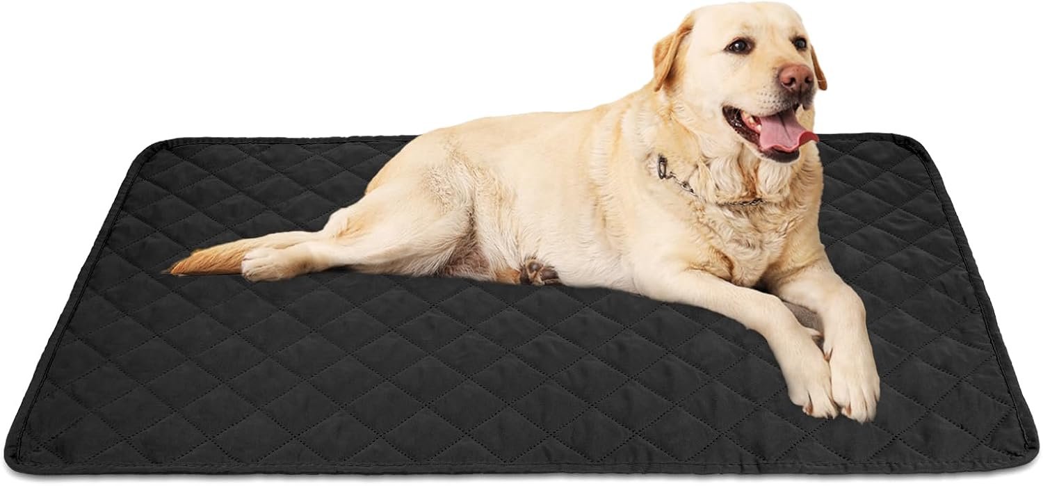AOMIG Waterproof Dog Blanket, Reversible Leakproof Pet Blankets for Couches Sofa Furniture Protector, Washable Cat Puppy Blanket for Couch Bed Cover, Anti Scratch Dirty Fur Dog Blankets Black(50x80cm)