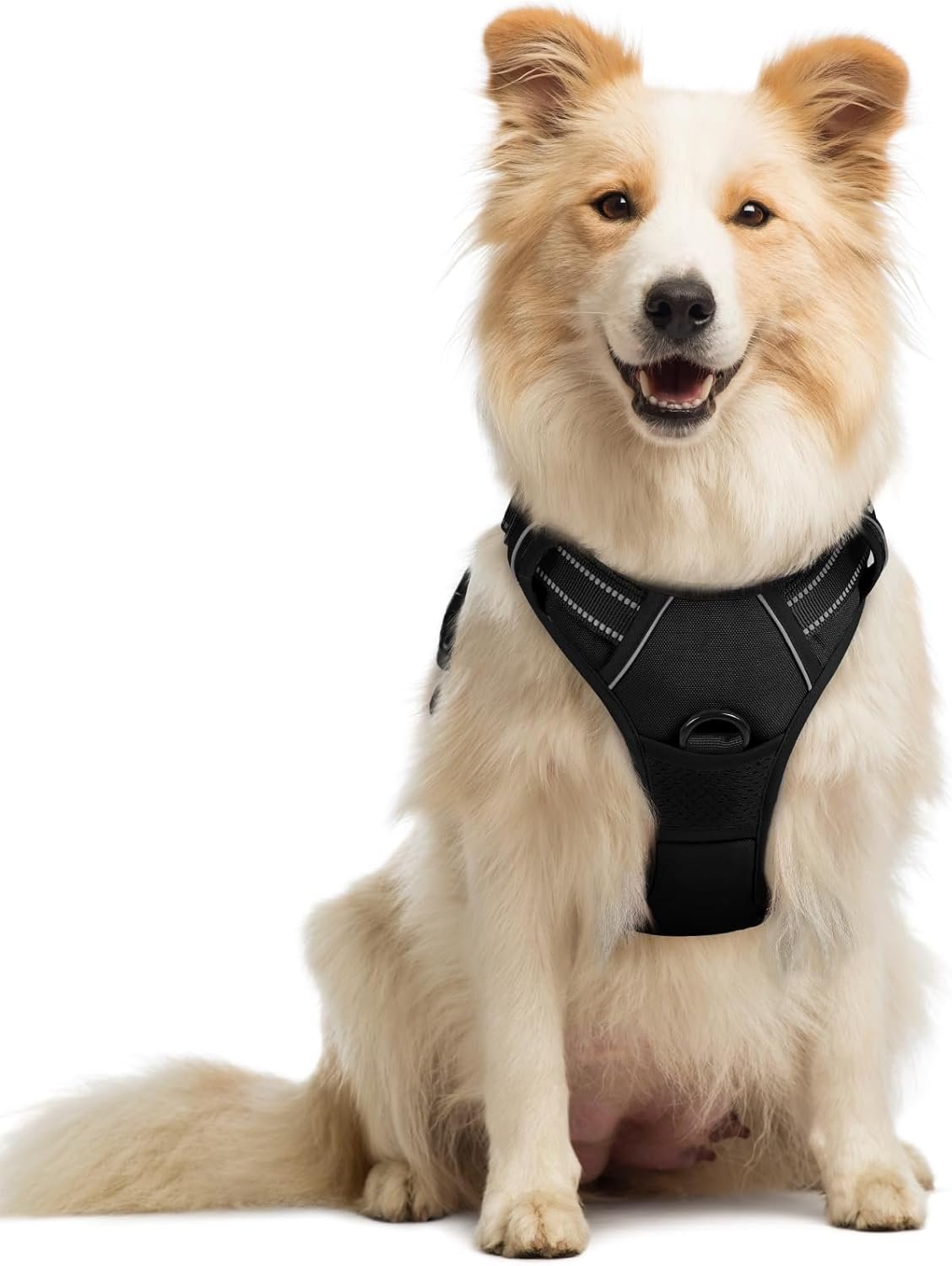 rabbitgoo Dog Harness, No Pull Medium Sized with 2 Leash Clips, Pet Vest