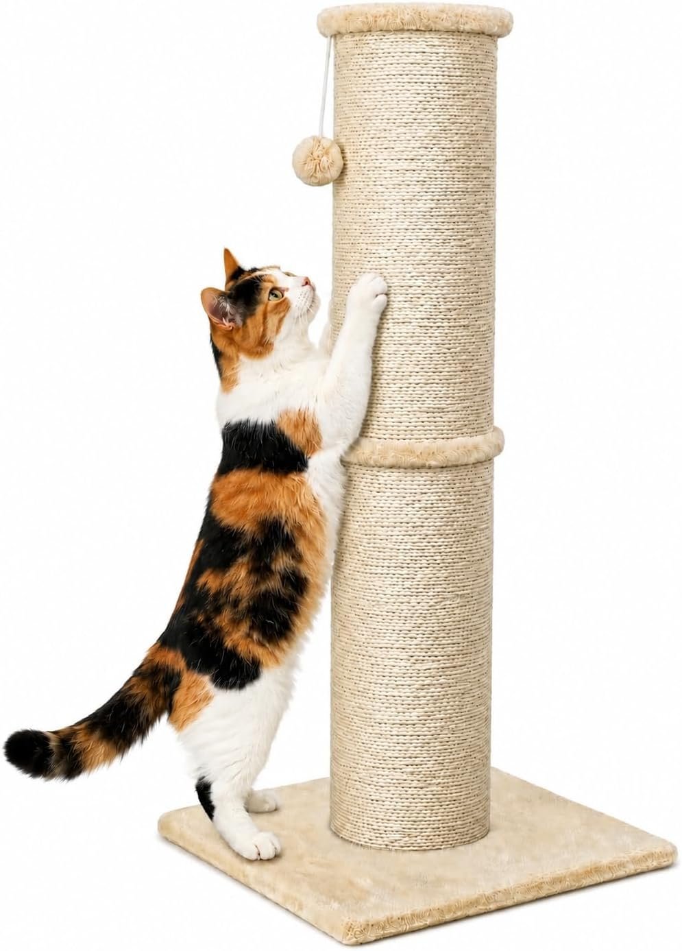 PAWSCRAT 32-Inch Tall Cat Scratching Post, 5.5-Inch Diameter, Sisal, Beige