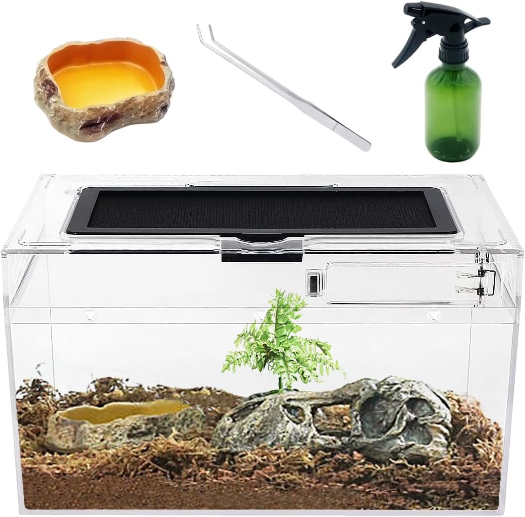 Mini Reptile Terrarium Set,11.8″ x 7″x 6″ Low Reptile Tank with Full View Visually Appealing，for Insect，Fish，Tarantula，Hermit Crab，Jumping Spider，Iguana，Tortoise，Leopard Gecko，Frog，Bearded Dragon