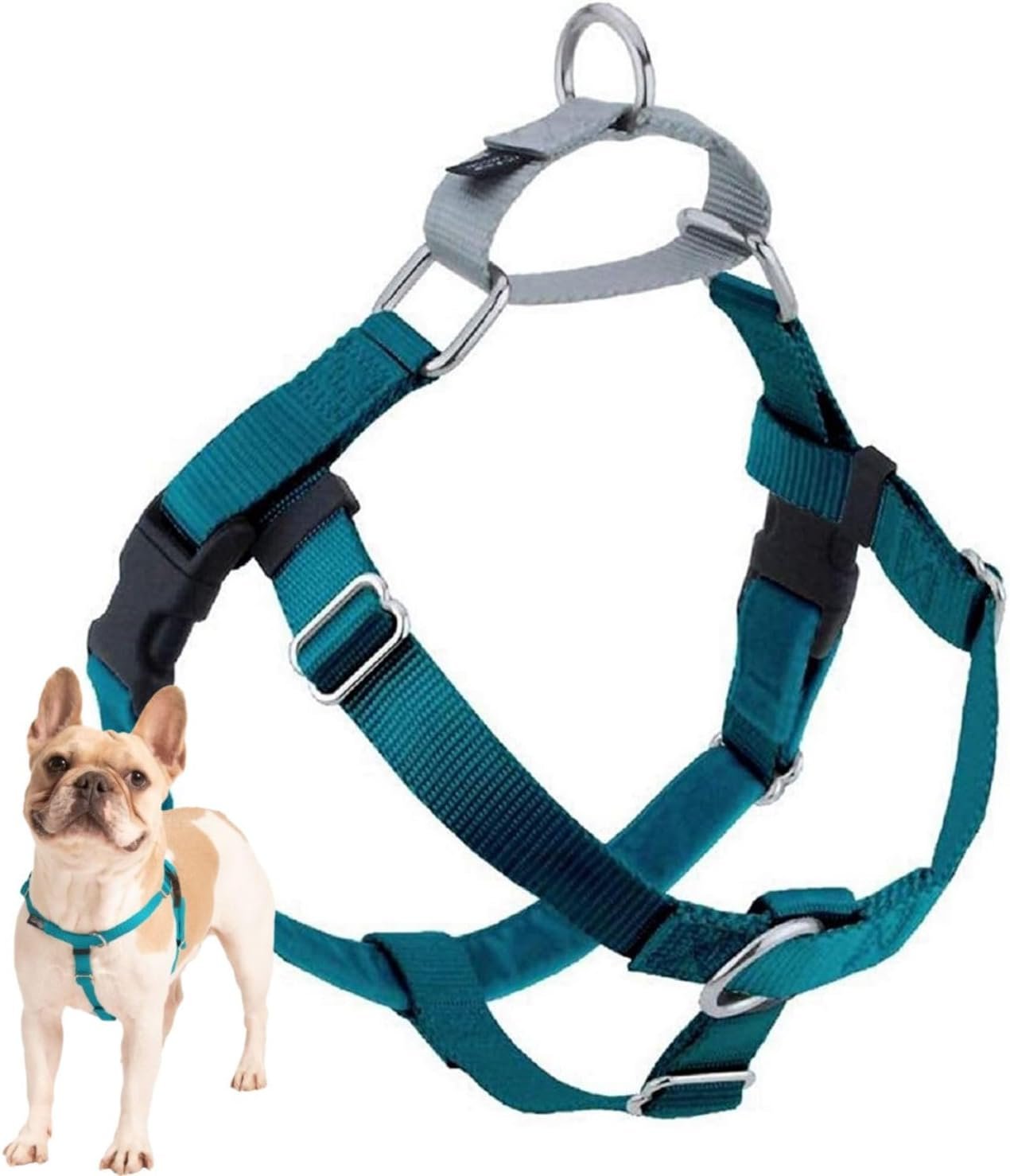 2 Hounds Design Freedom No Pull Dog Harness, 1 inch MD, Teal
