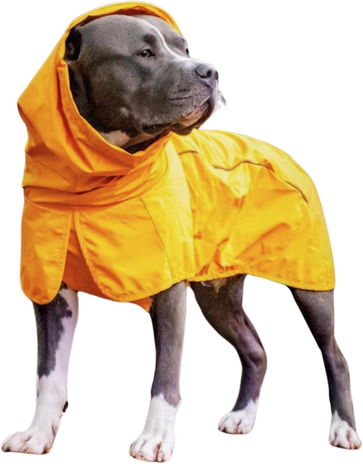 Spark Paws Dog Raincoat – Waterproof Rain Jacket w/Hood, Full Coverage