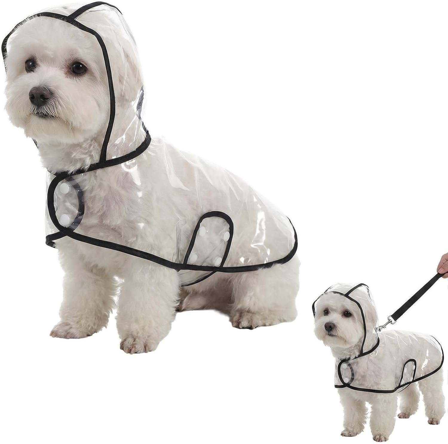 Dog Raincoat for Medium Dogs, Dog Clear Rain Poncho Waterproof Windproof Cape with Hidden Leash Hole & Adjustable Snaps for Bichon Poodle