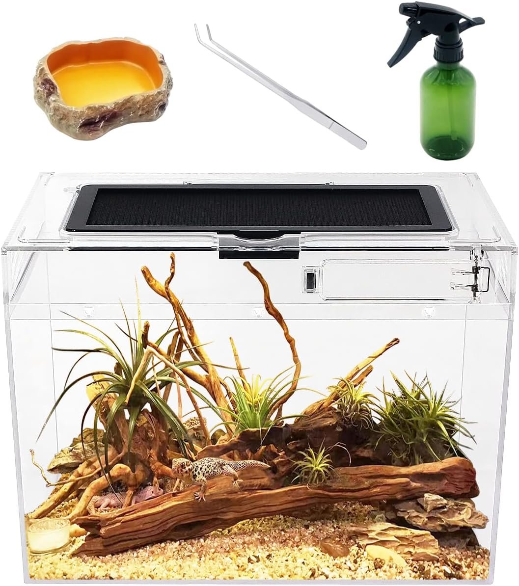 Reptile Growth Mini Reptile Terrarium,12″ x 7″x 9″ Reptile Tank with Full View Visually Appealing，for Insect，Fish，Tarantula，Hermit crab，Jumping spider，Iguana，Tortoise，Leopard Gecko，Frog，Bearded dragon