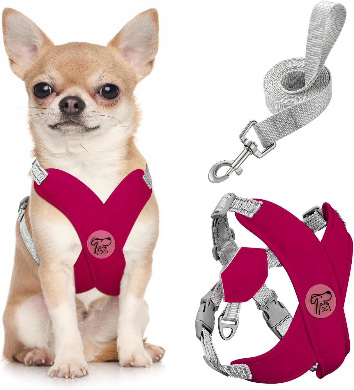 Pawaboo Small Dog Harness and Leash Set, Puppy Harness X-Frame Adjustable