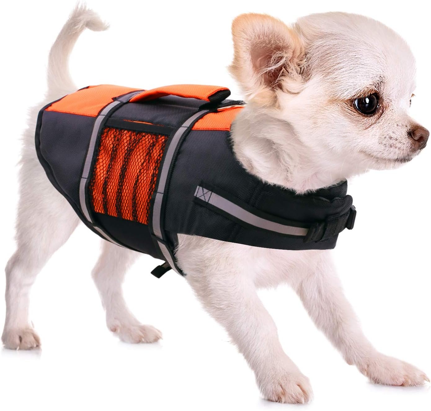 Queenmore XS Dog Life Jacket,Adjustable Dog Life Vest for Small Dogs