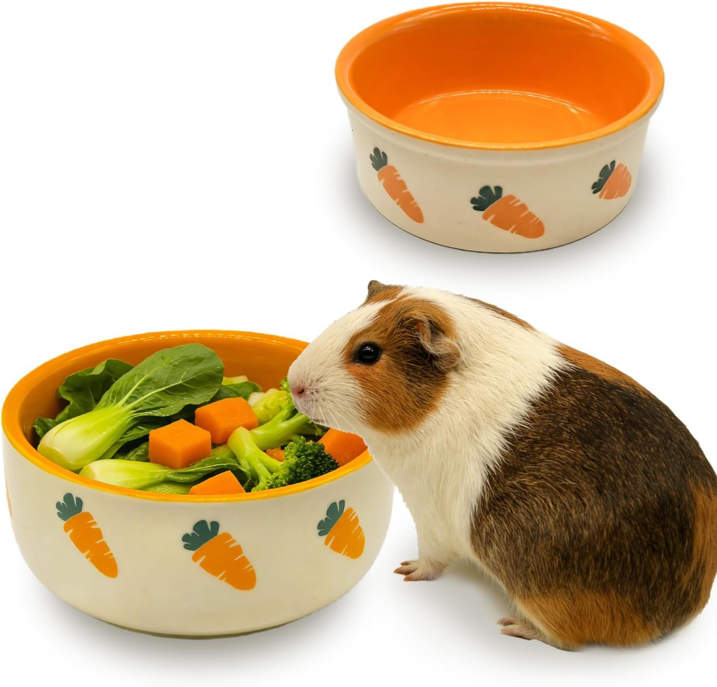 kathson 2 Pcs Hamtser Food Bowl,Ceramic Anti-Turning Guinea Pig Food Bowls