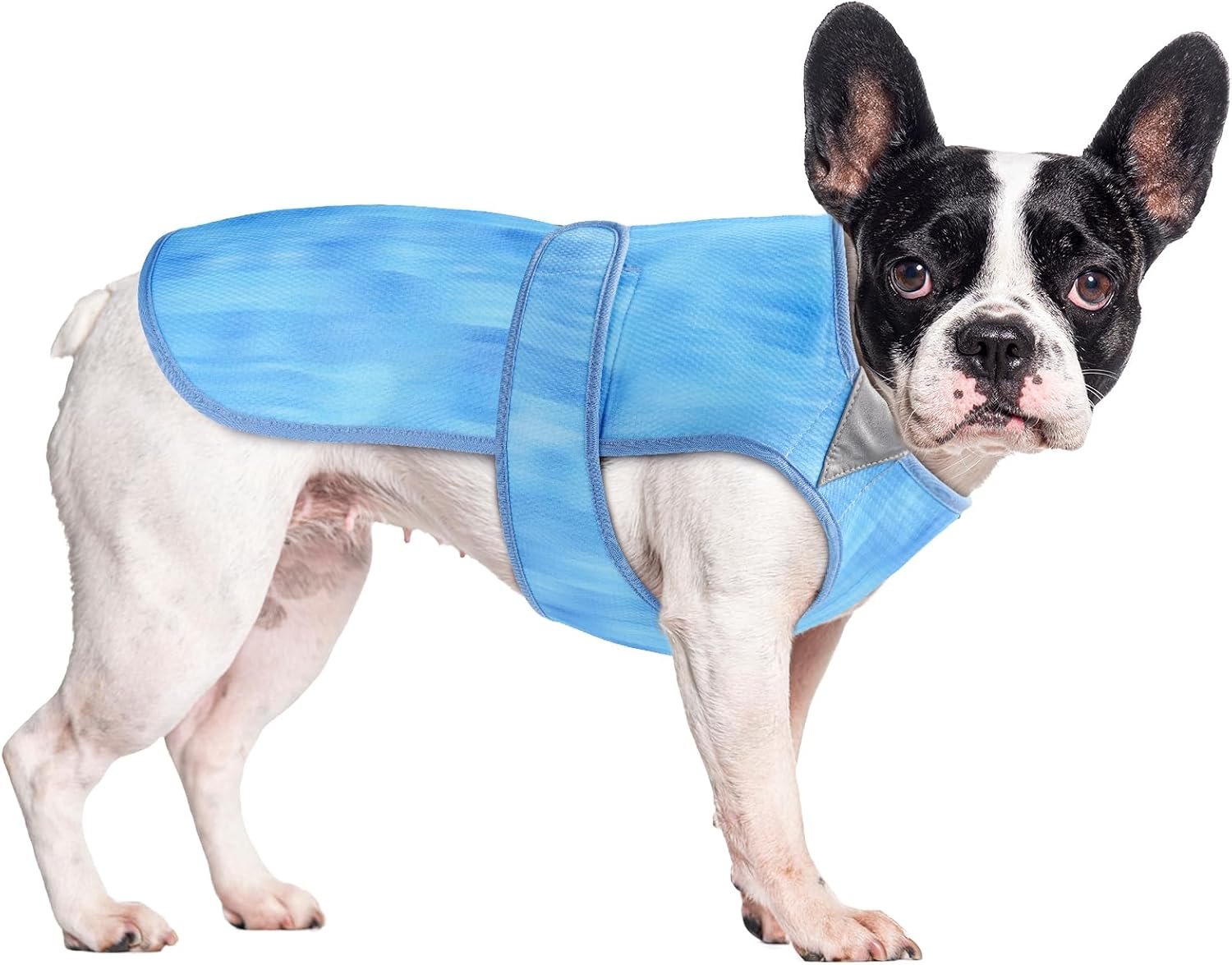 Summer Dog Cooling Vest – Lightweight Dog Cooling Jacket, Breathable Shirt for Walking, Outdoor Hunting Training and Camping (S)