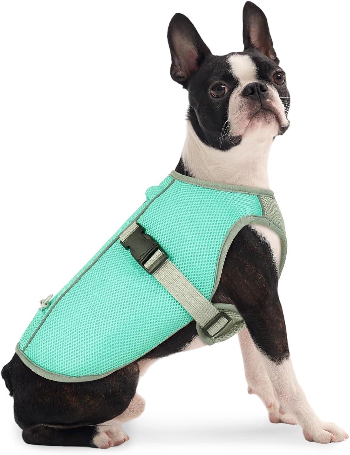 FUAMEY Cooling Jacket for Dogs Hot Weather, Breathable Cooling Vest for Walking Dogs, Mesh Summer Doggies Vest with Buckle and Adjustable Fit, Green, S