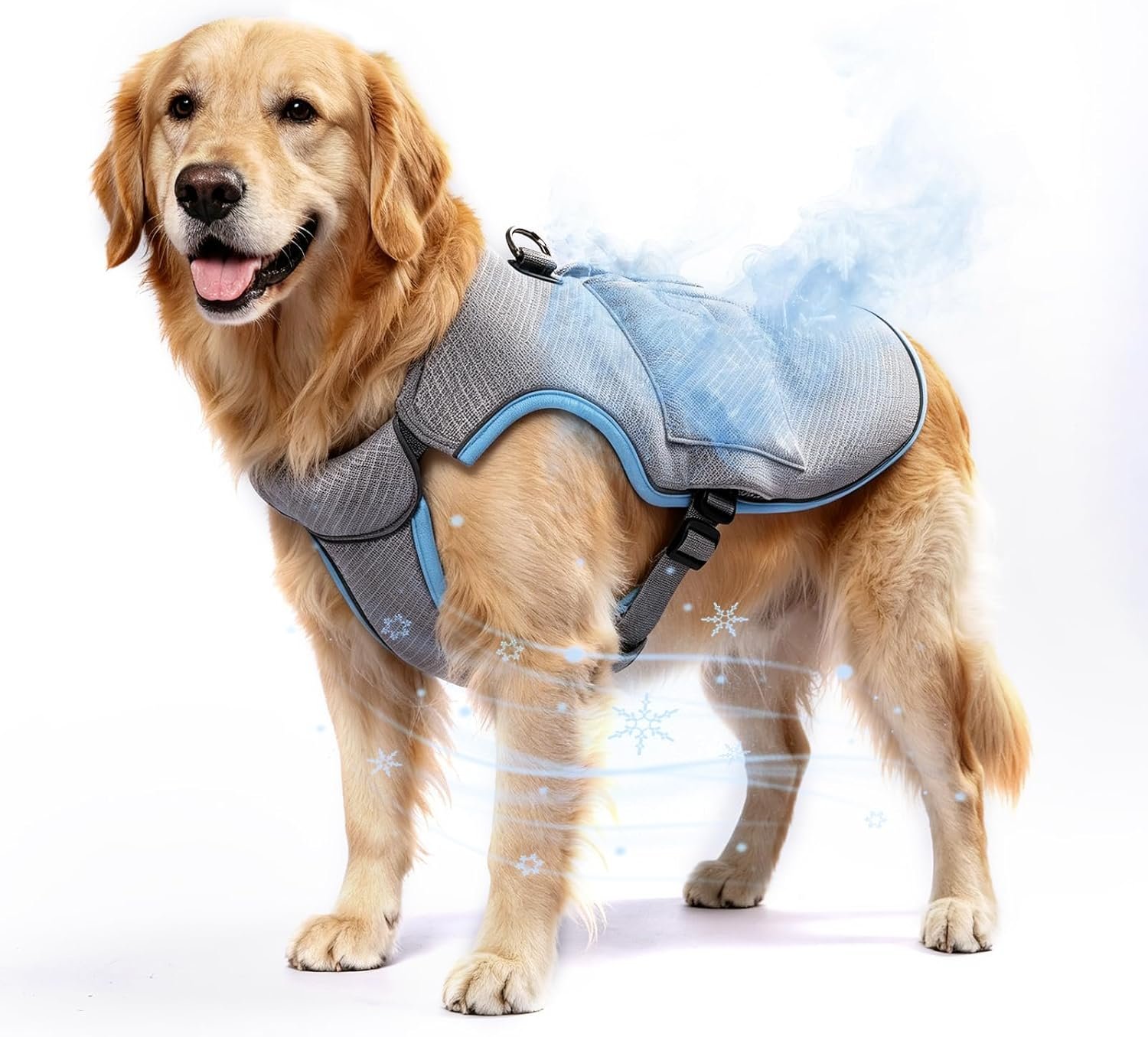 Mora Pets Dog Cooling Vest – SPF 50 UV Sun Protection – Summer Heat Relief Gear for Dogs, Lightweight, Evaporative Cooling – Dog Anxiety Relief Vest During Hot Days (Light Blue XL)