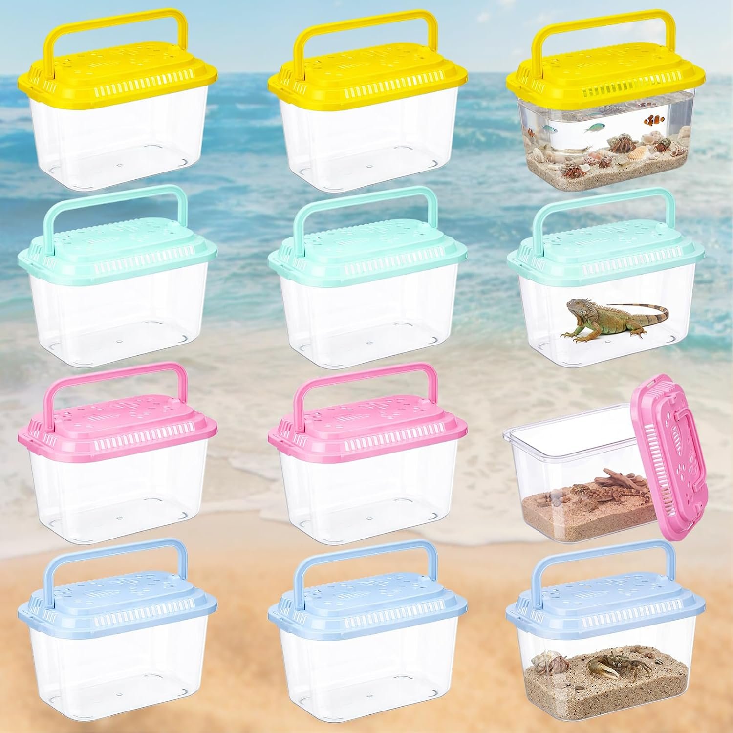 Leinuosen 12 Pcs Plastic Reptile Terrariums Carrier Cage Small Fish Transport Container with Handle Tarantula Enclosure Snake Breeding Box Hatching Container Clear Tank Aquarium for Crab Turtle