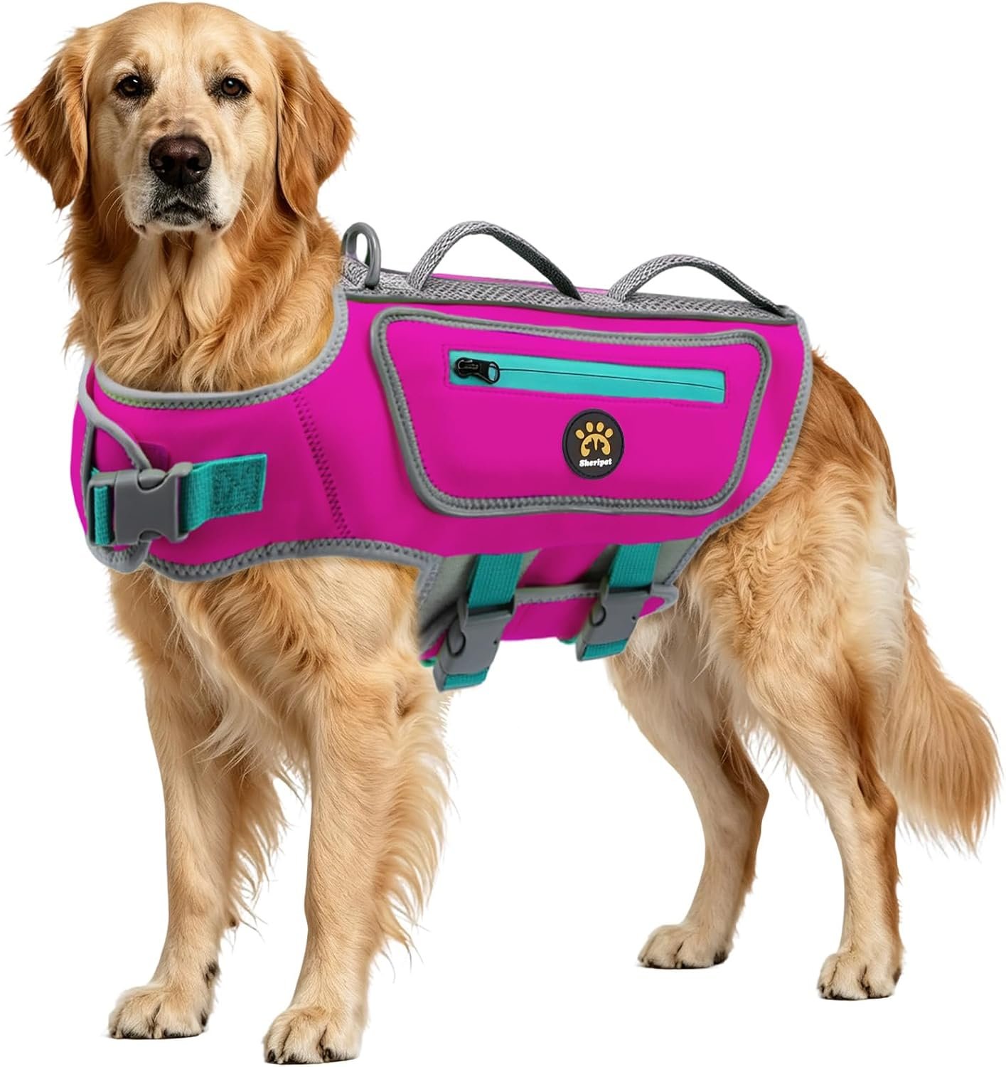 Dog Life Jacket, Good Visibility Pet Swimming Vest for Boating L