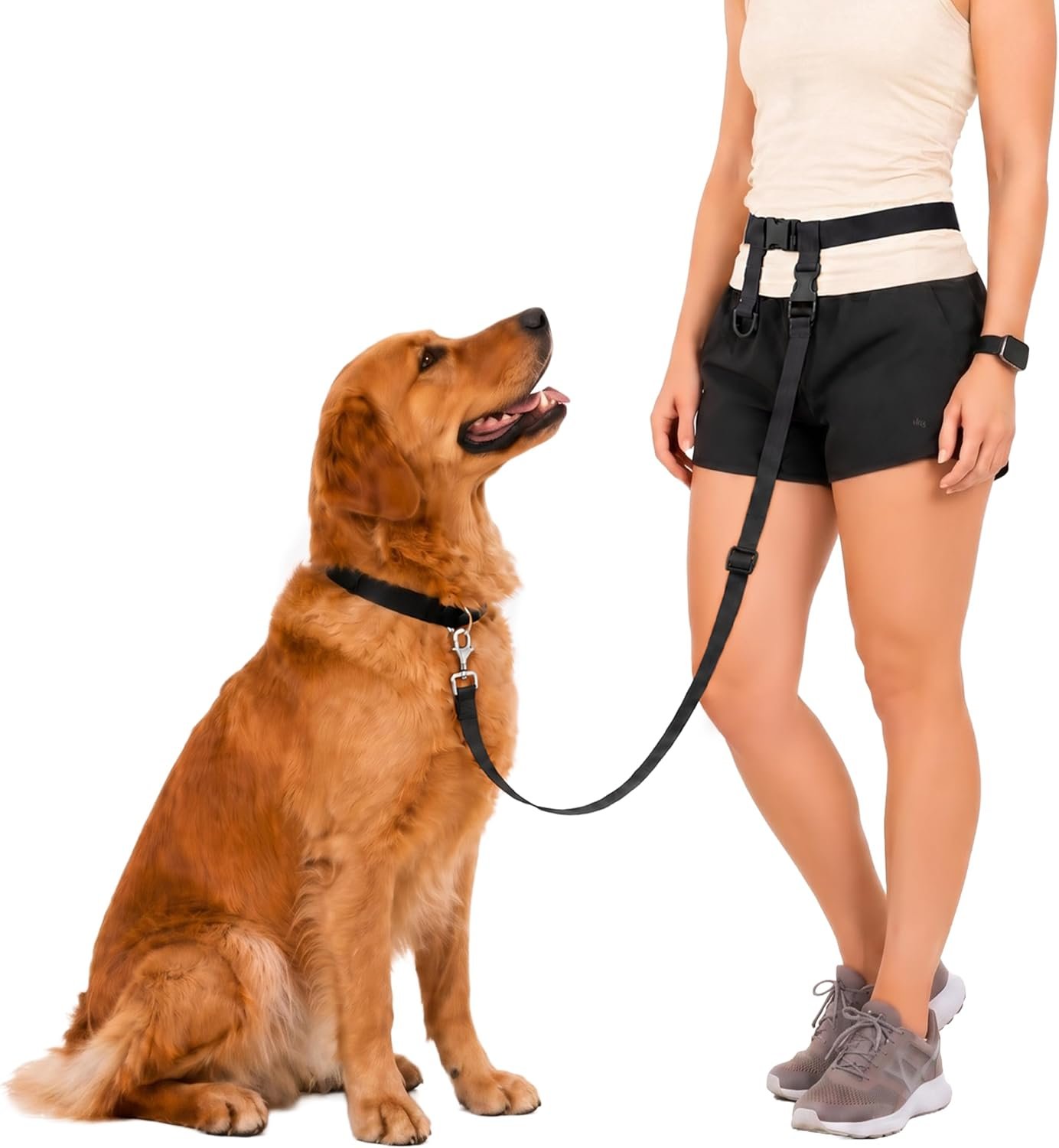 The Buddy System – Hands Free Dog Leash – Regular Dog, Regular, Black
