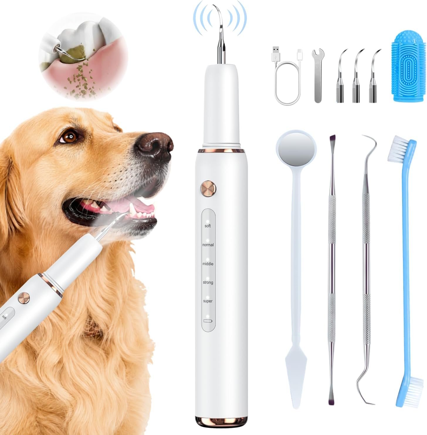 Dog Plaque Tartar Remover for Teeth – Dog Teeth Cleaning Kit, Electric Remover with LED Light, 5 Adjustable Modes, Safe Pet Tooth Cleaner, Dental Care Tool for Dogs