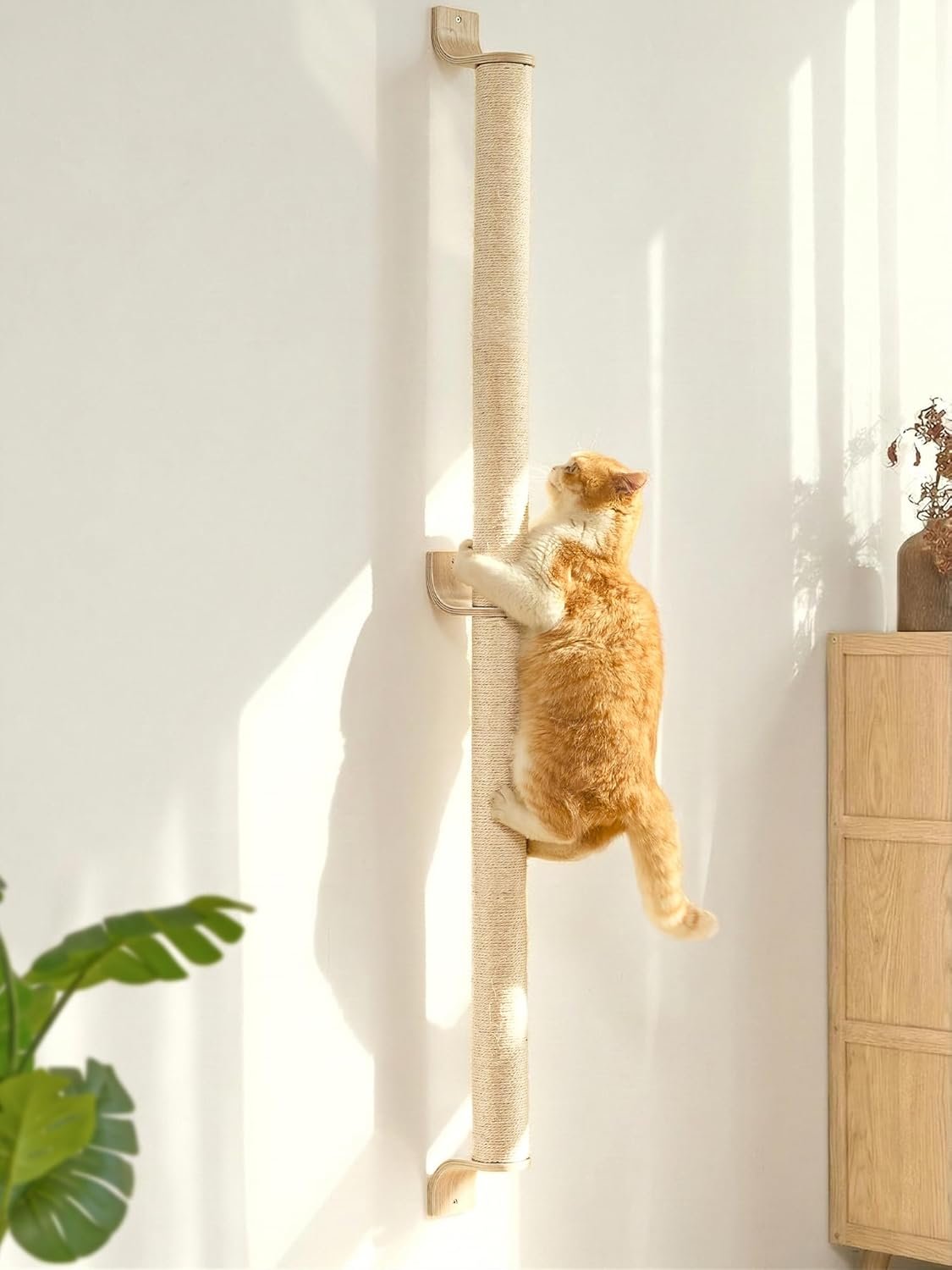 FUKUMARU Cat Wall Scratcher, 60″ Tall Kitten Scratching Post