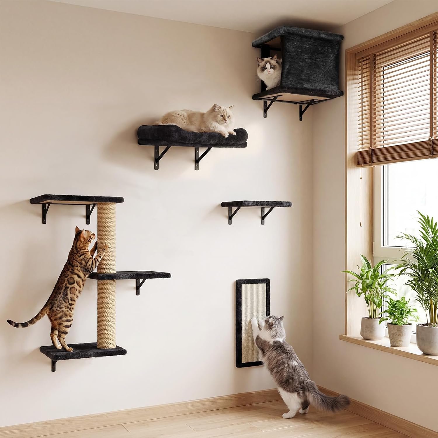 5-in-1 Cat Wall Shelves for Large Cats, Floating Climber with Scratcher