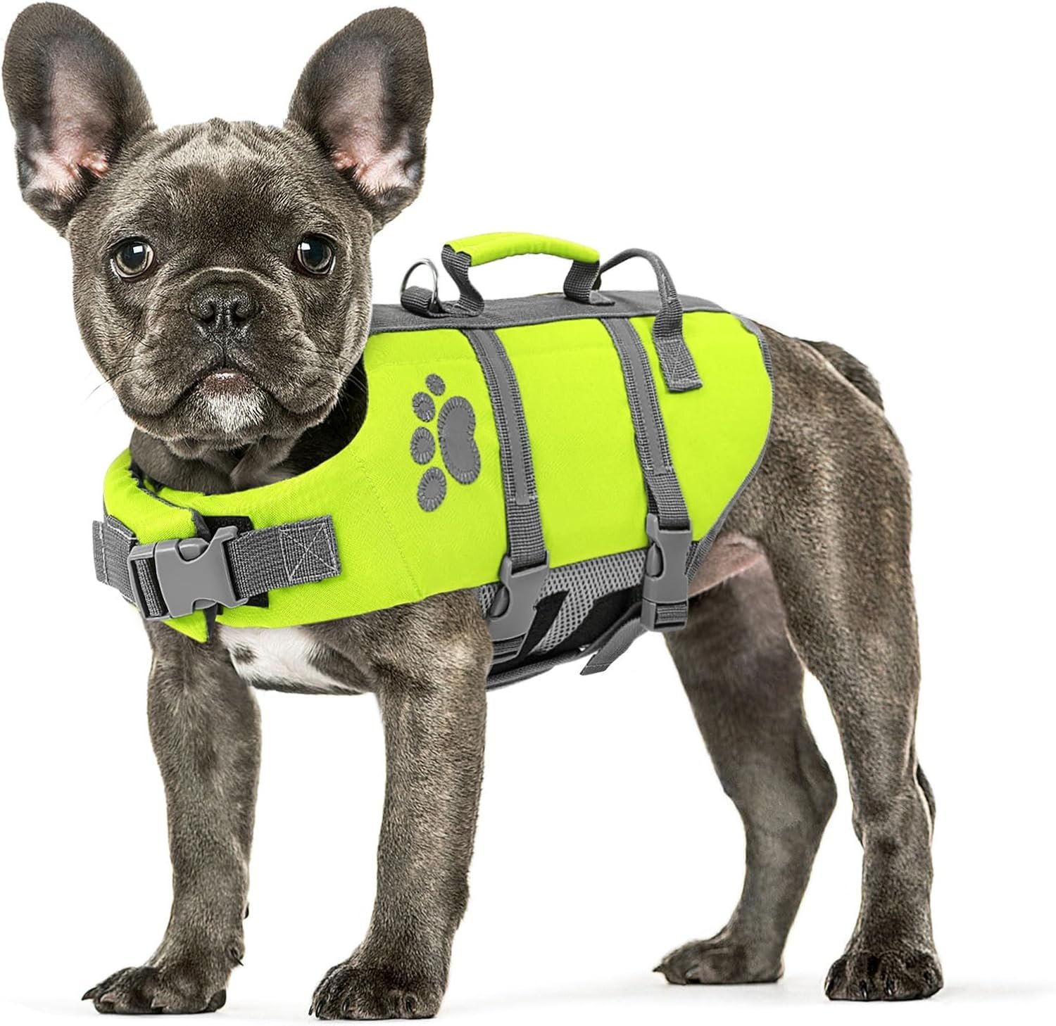 Queenmore Small Dog Life Jacket, Ripstop Safety Dog Life Vest for Swimming