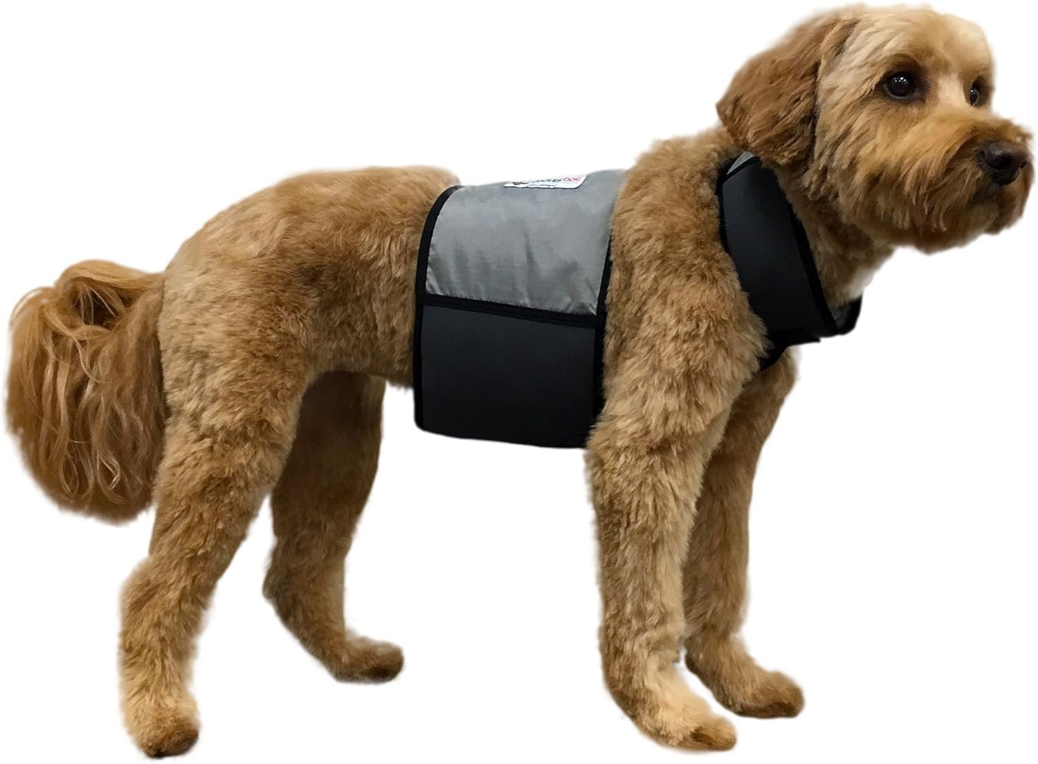CoolerDog Dog Cooling Vest & Cooling Collar – Ice Vest for Hot Weather Heat Relief, Re-Freezable Pure Water Inserts (Medium 22”–27” Girth)