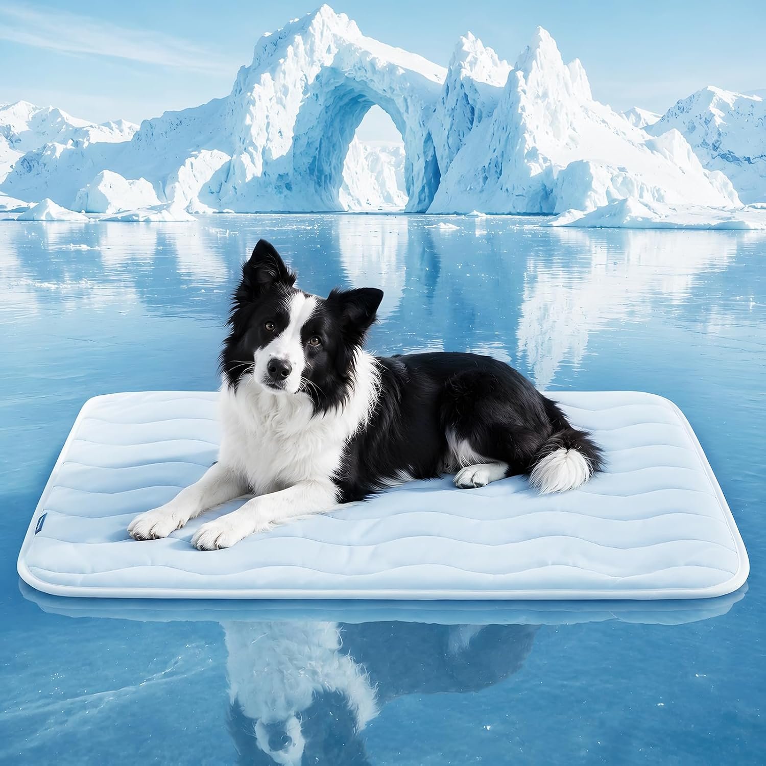 Dog Cooling Mat, Large & Medium Dogs, Self-Cooling Pad, Q-Max>0.4