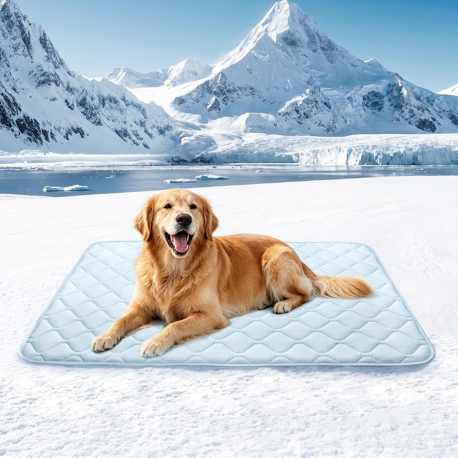 Buvlnee Dog Cooling Mat 2.0, 41x28in Portable Pet Cooling Mat for Dogs & Cats Q-Max>0.5, Durable Waterproof Washable Cooling Pad Non-Toxic