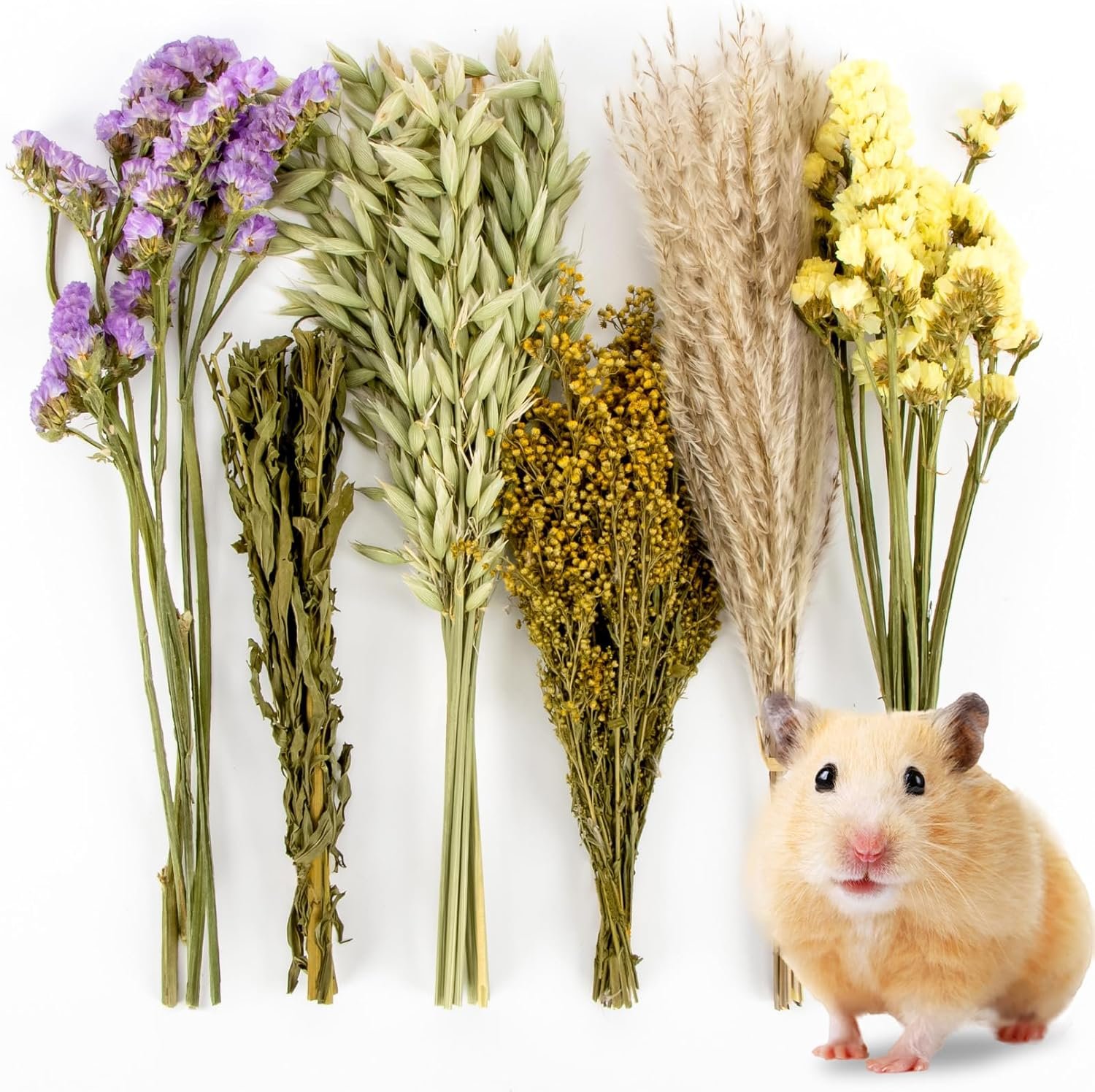 Sukh 42Pcs Hamster Sprays Natural – Sprays & Forage for Small Animals