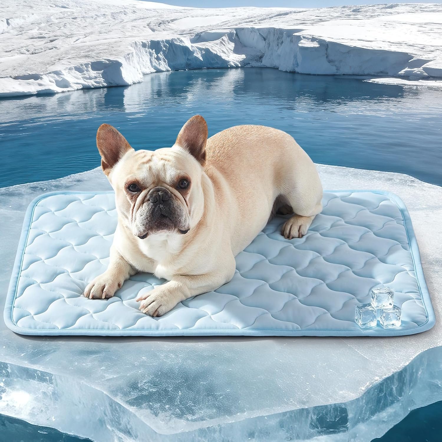 GASUR Cooling Mat for Dogs, Q-Max>0.5 Instant Temp Drop Dog Cooling Mats for Medium Dogs&Cats, Cooling Pad for Dog – Indoor Outdoor Travel Use, Snag Resistant，Machine Washable&Anti-Slip, 28″X22″ Blue