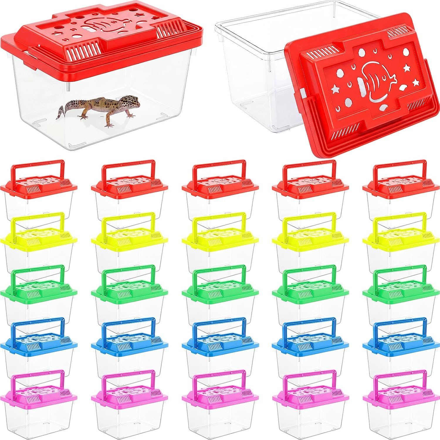 LemonRoad 25 Pcs Plastic Reptile Terrariums,Classic,5.9×4.3×3.5 Inch