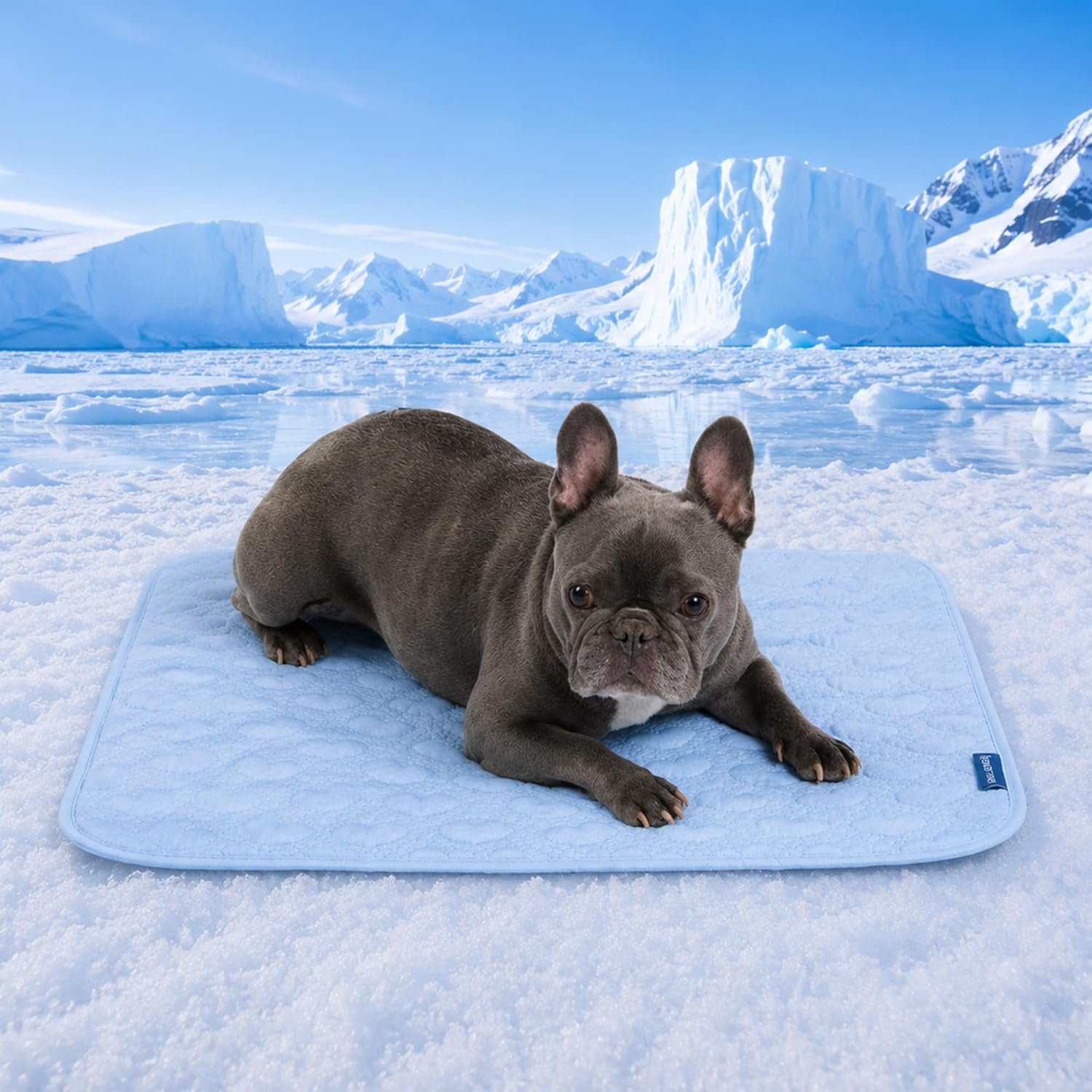 Spark Paws FrostCore Dog Cooling Mat – Non Gel Self Cooling Pet Pad