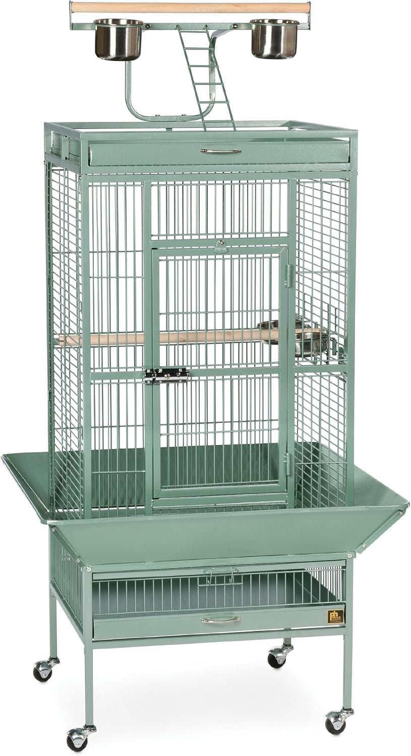 Prevue Hendryx Pet Products Wrought Iron Select Bird Cage 3152SAGE Sage Green, 24-Inch by 20-Inch by 60-Inch
