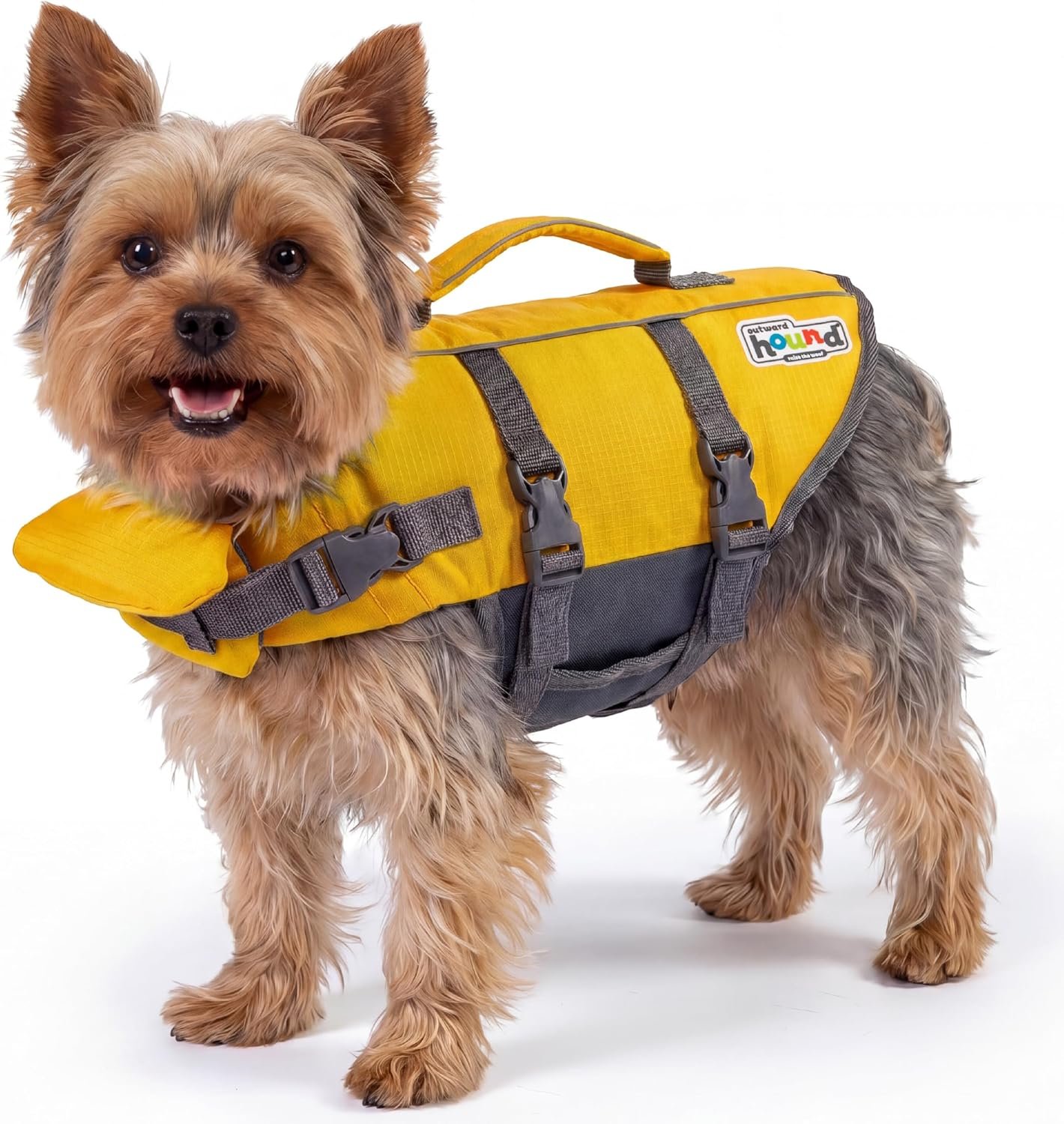 Outward Hound Granby Splash Dog Life Jacket, Life Vest, Yellow, X-Small
