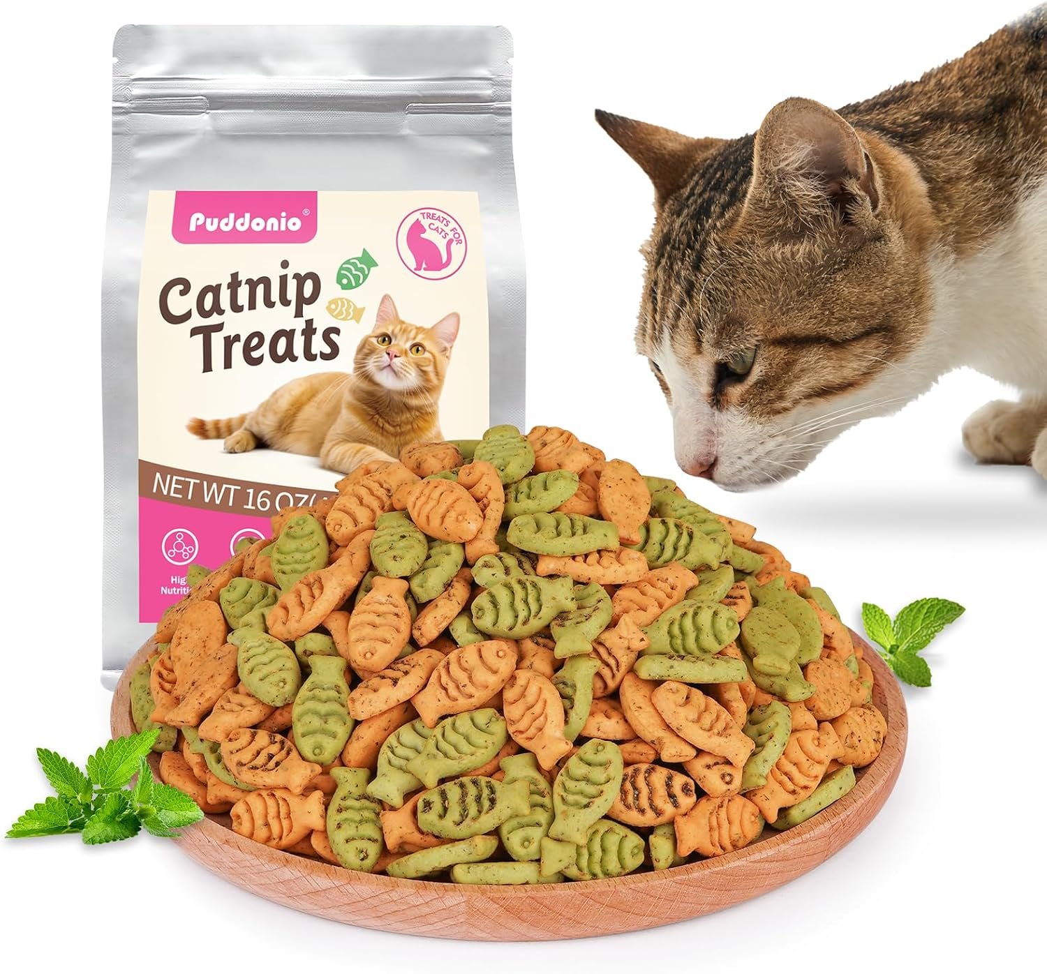 Catnip Cat Treats, Chicken & Salmon Flavor, Crunchy Bites, 16 oz