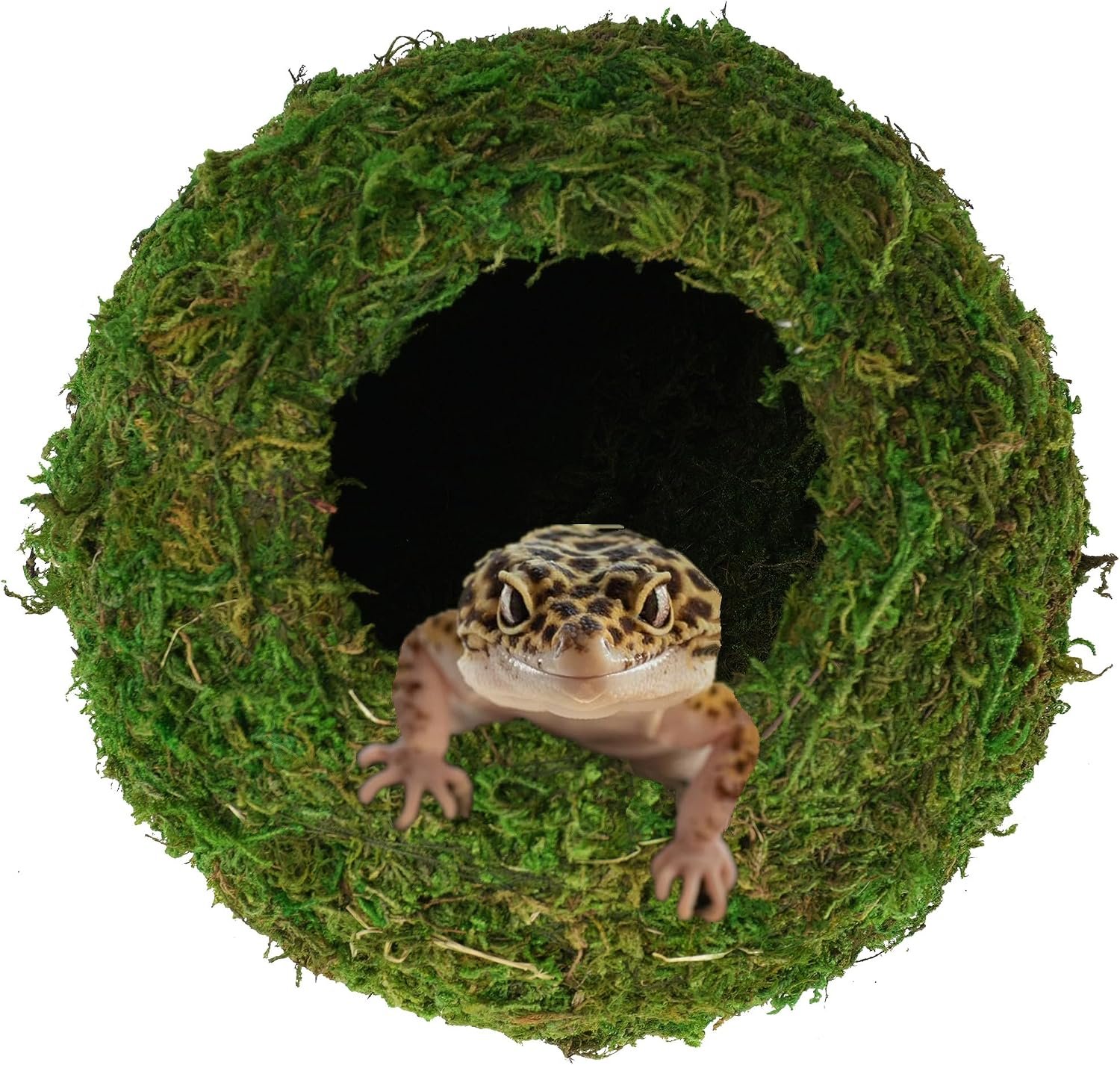 USMOLA Mossy Caves, Artificial Green Moss Caves Hide for Pet Reptile Frogs and Snakes, Terrarium & Vivarium Decor, Crested Gecko Tank Decor (4″ – Woodland Green)