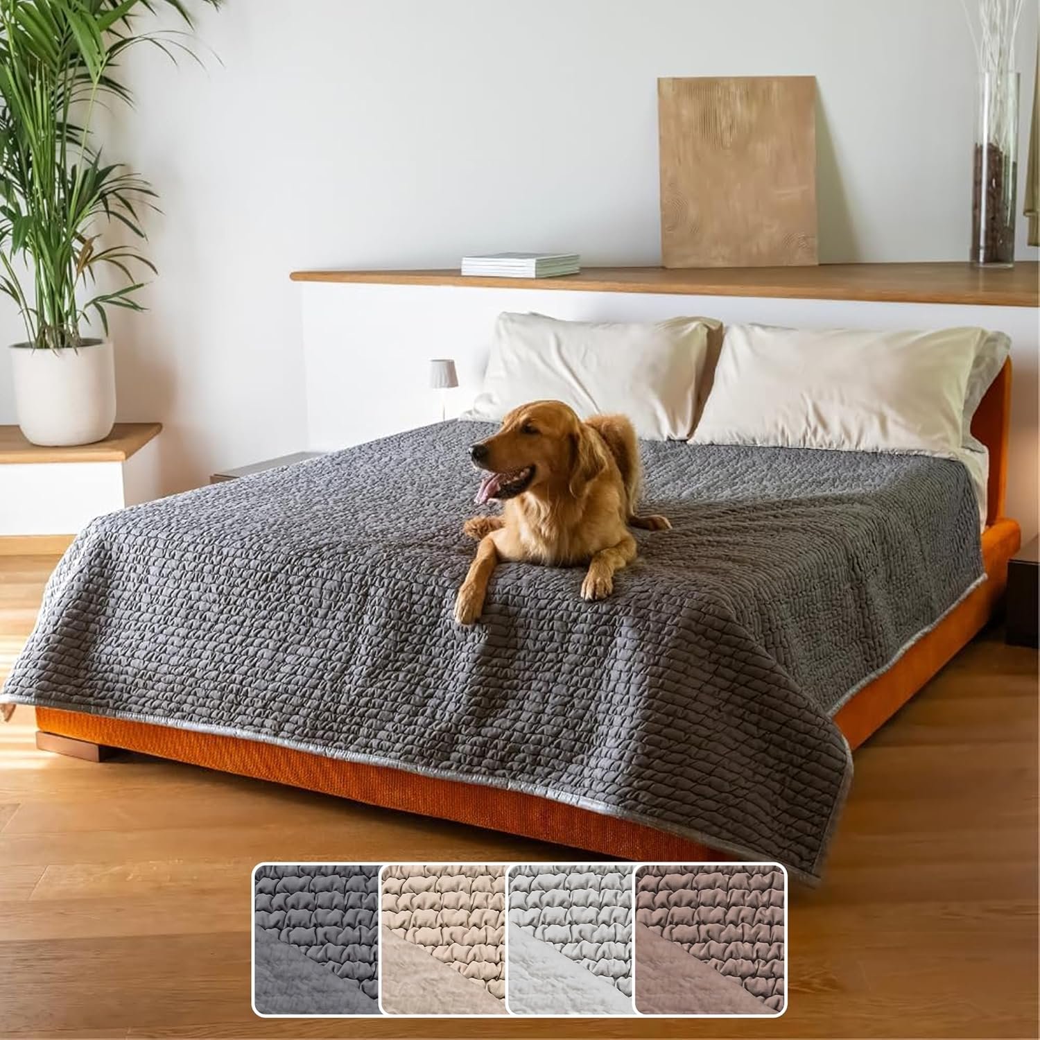 PAULATO BY GA.I.CO. Waterproof Blanket for Bed – Queen Absorbent Couch Cover – Machine Washable Stain-Proof Pad for Large Sofa – Pets Dogs & Cats Friendly Protector – Dark Grey