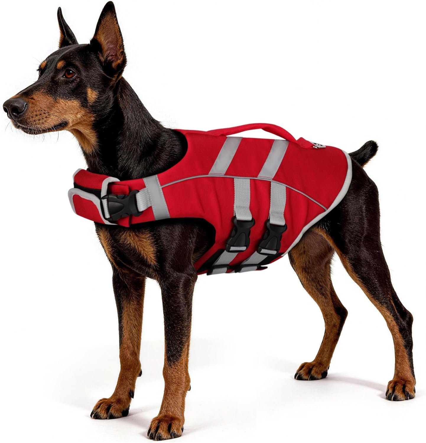 Paiaite Dog Life Jacket: Ripstop High Buoyancy Swimsuit with Reflective Stripes & Rescue Handle – Adjustable Preserver with Leash Hook for Swimming, Boating & Lake Activities for Dogs Red S