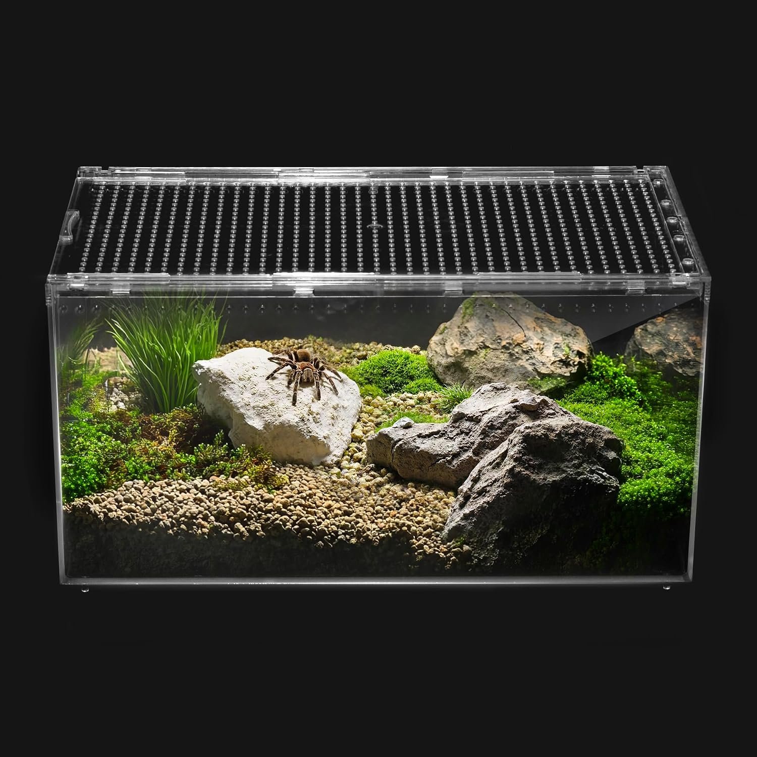 Reptile PC Tank,Escape Proof Magnetic Lid Tarantula Enclosure Small
