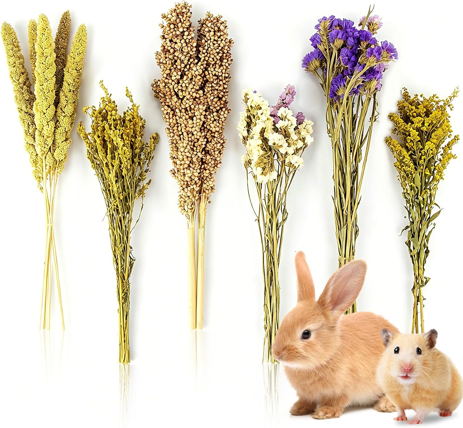 Sukh Natural Hamster Bedding Sprays – Foraging Cage Accessories