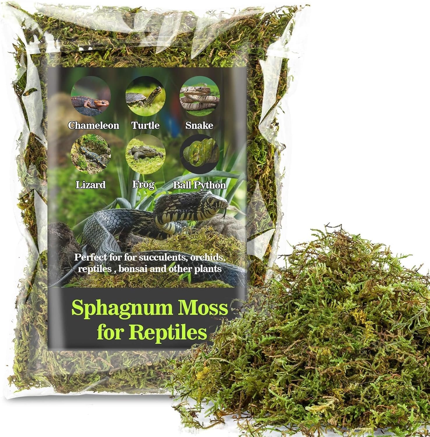 Sukh Sphagnum Moss for Reptiles – Green Terrarium Moss Substrate, 5oz