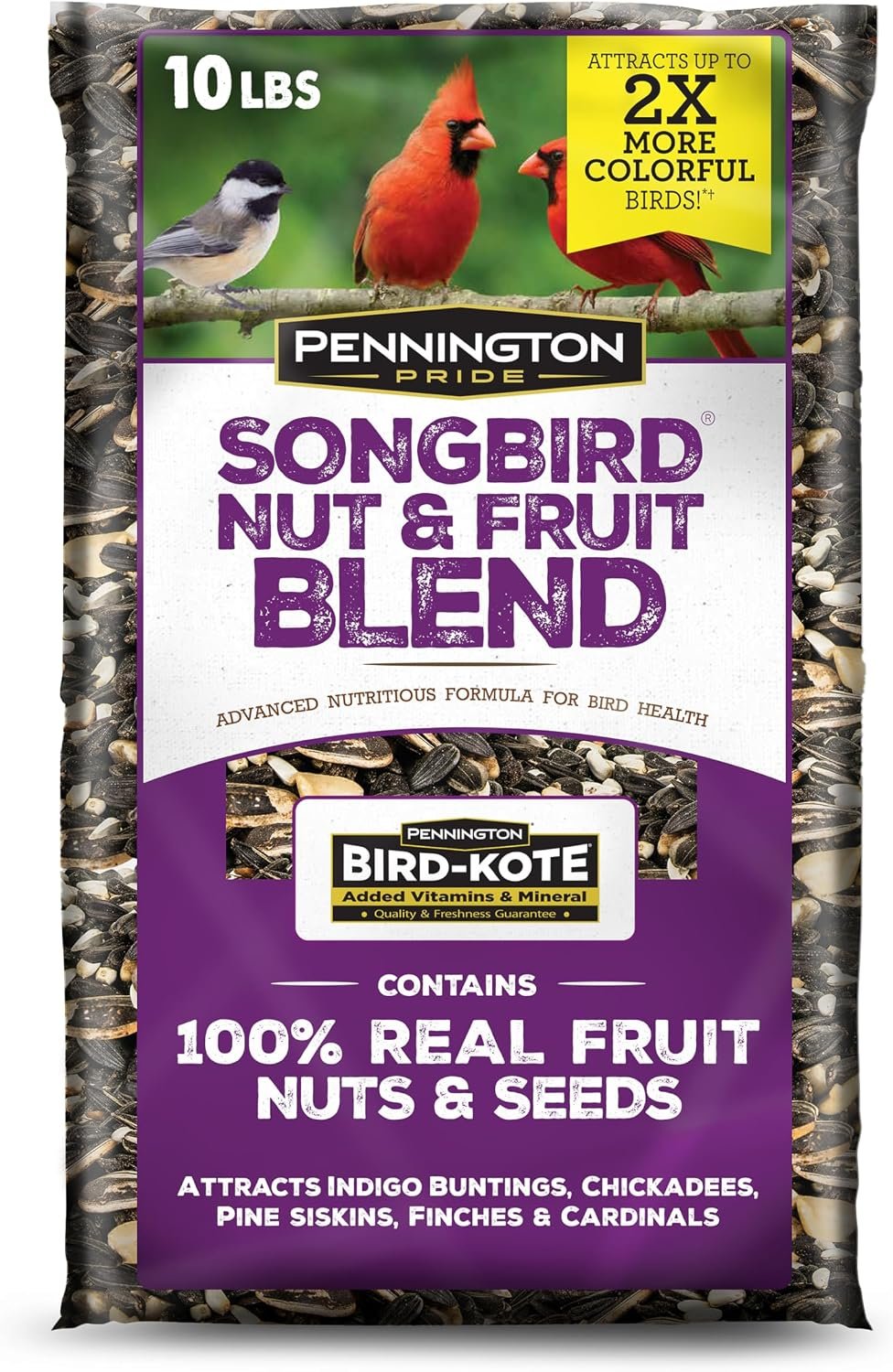 Pennington Songbird Nut & Fruit Blend Wild Bird Seed for Outside Feeders
