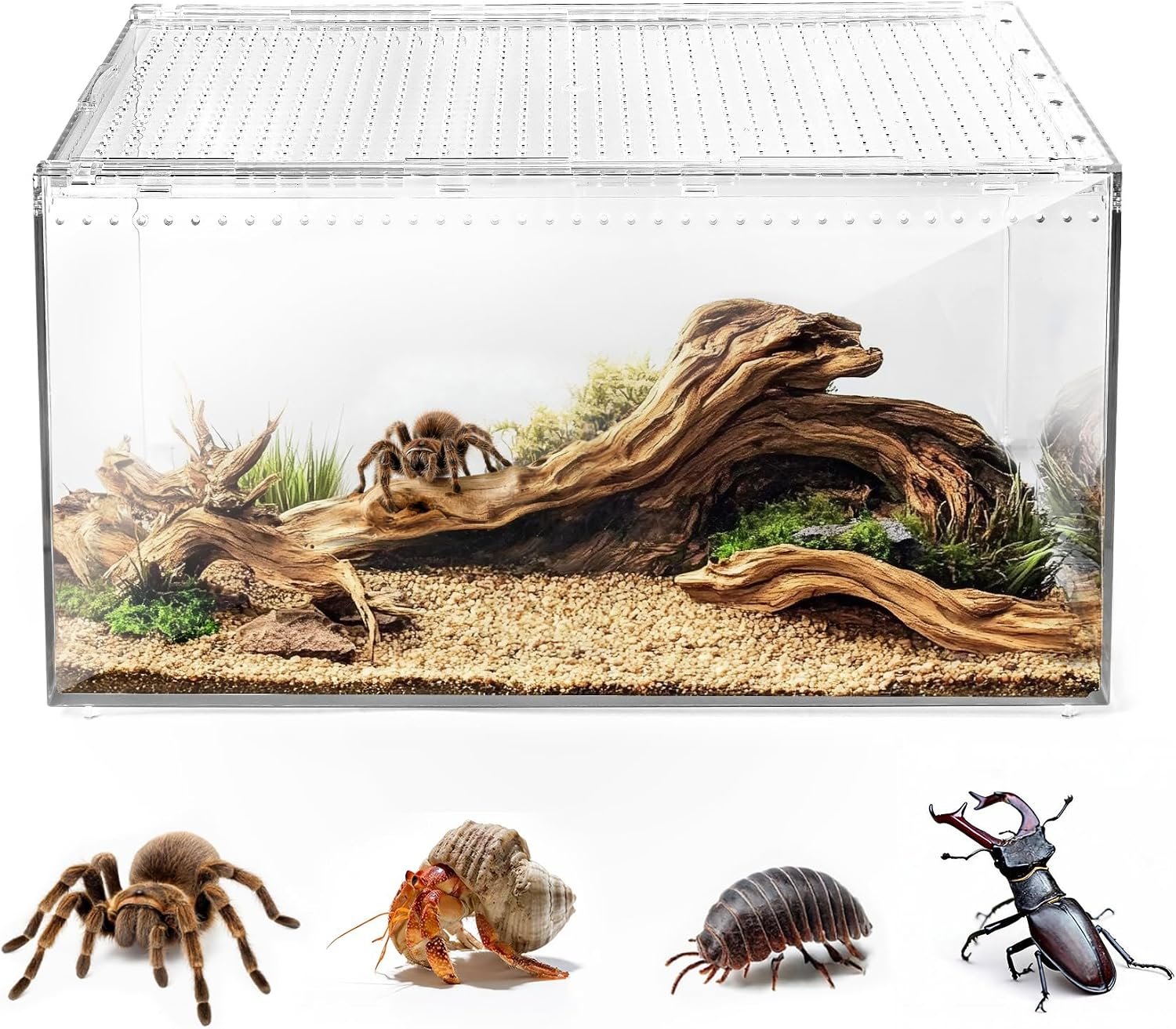 AZV Escape Proof Tarantula Enclosure,Polycarbonate Hermit Crabs Tank Small